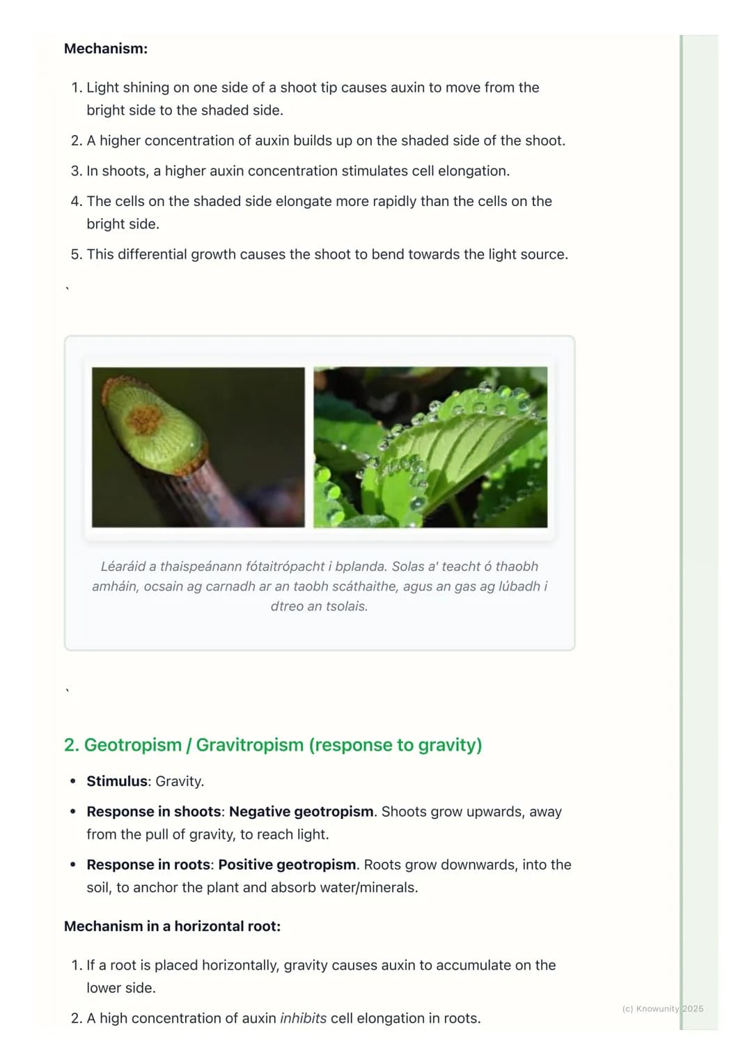 # Plant Responses (Tropisms)

Introduction to tropisms

A tropism is a plant's growth response towards or away from an external
stimulus. It