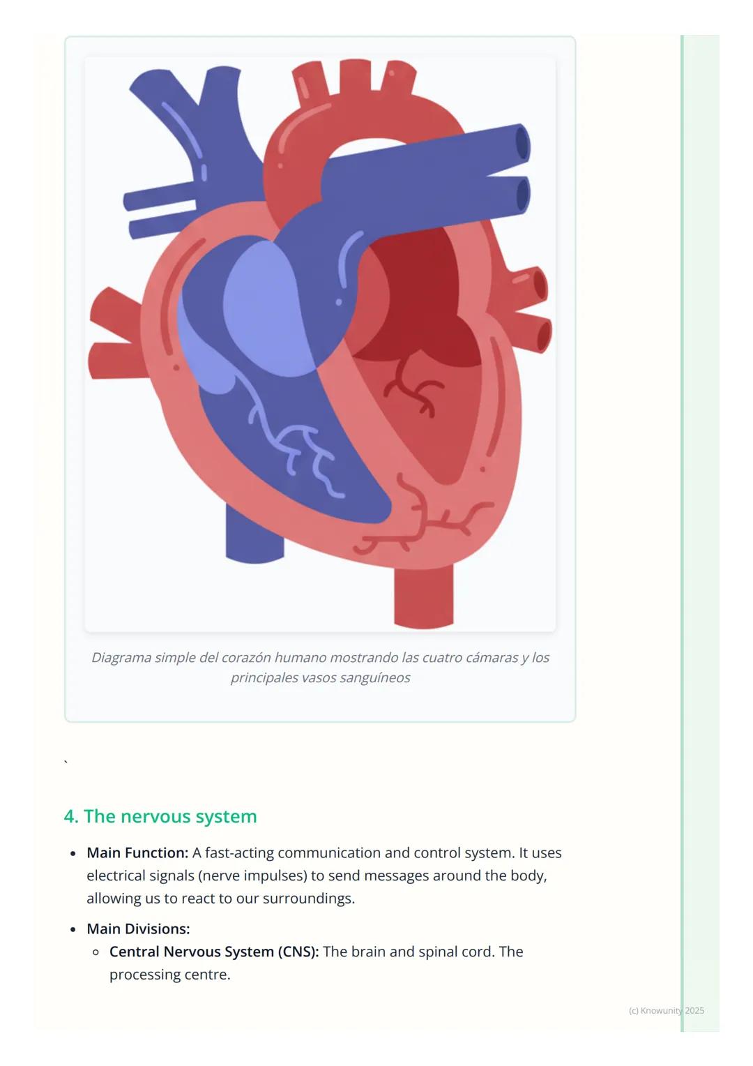 # Human Body Systems

An overview of body systems

Okay, so the human body is incredibly complex. It's not just one big thing,
but a collect