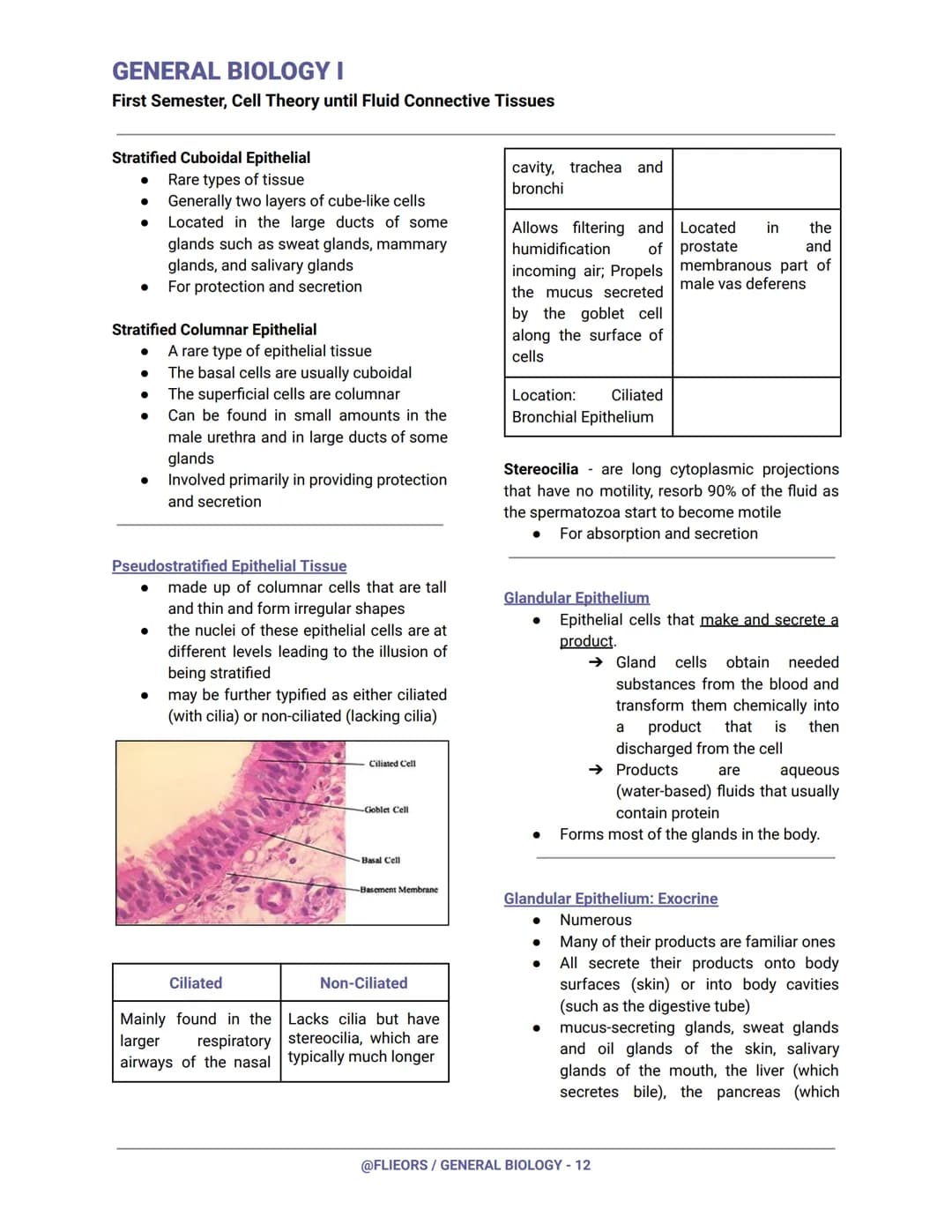 GENERAL BIOLOGY I
First Semester, Cell Theory until Fluid Connective Tissues
First Century (Year 100)
Romans had already invented and experi