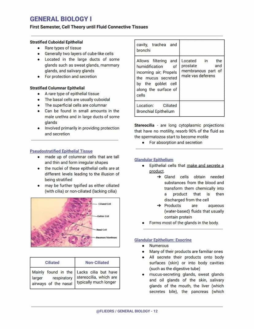 GENERAL BIOLOGY I
First Semester, Cell Theory until Fluid Connective Tissues
First Century (Year 100)
Romans had already invented and experi