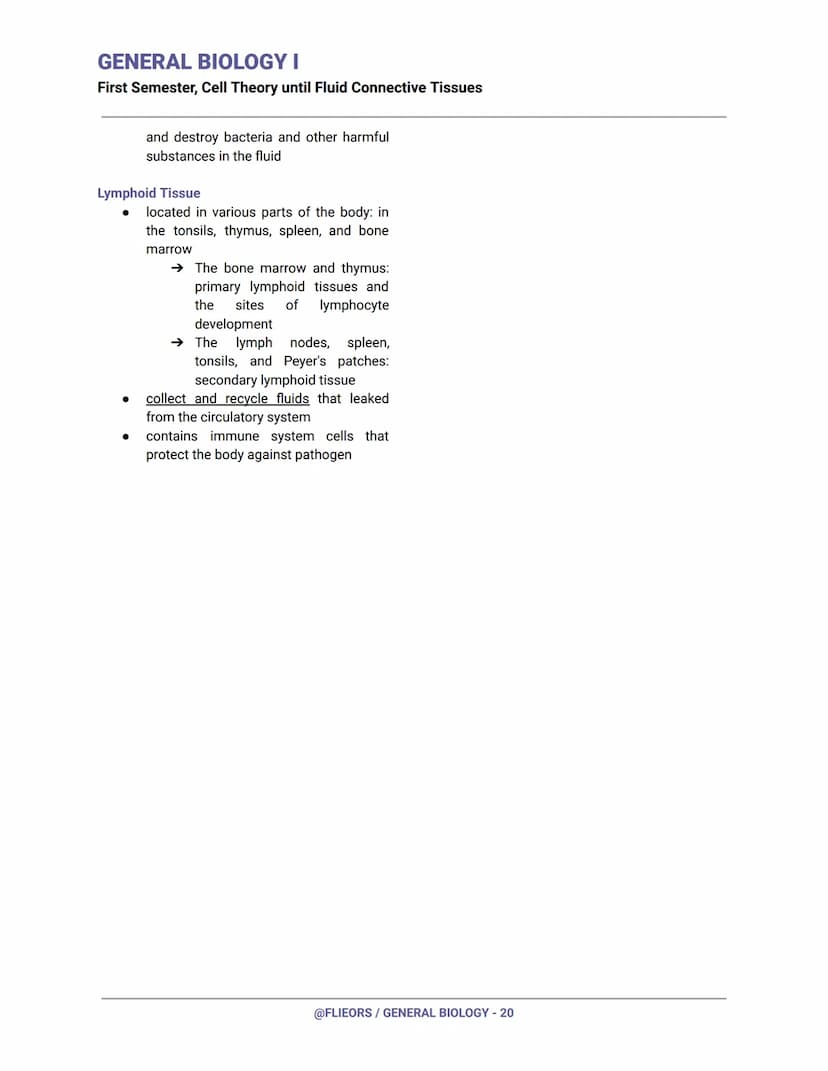 GENERAL BIOLOGY I
First Semester, Cell Theory until Fluid Connective Tissues
First Century (Year 100)
Romans had already invented and experi