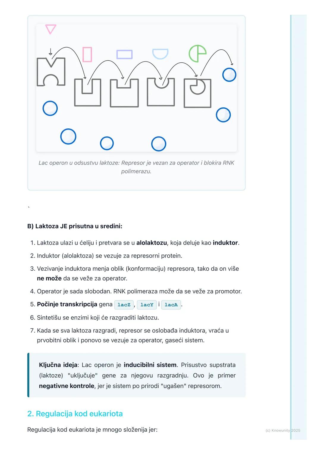 # Regulacija ekspresije gena

Uvod i značaj regulacije

Sve ćelije u jednom višećelijskom organizmu (npr. u našem telu) imaju potpuno
istu D