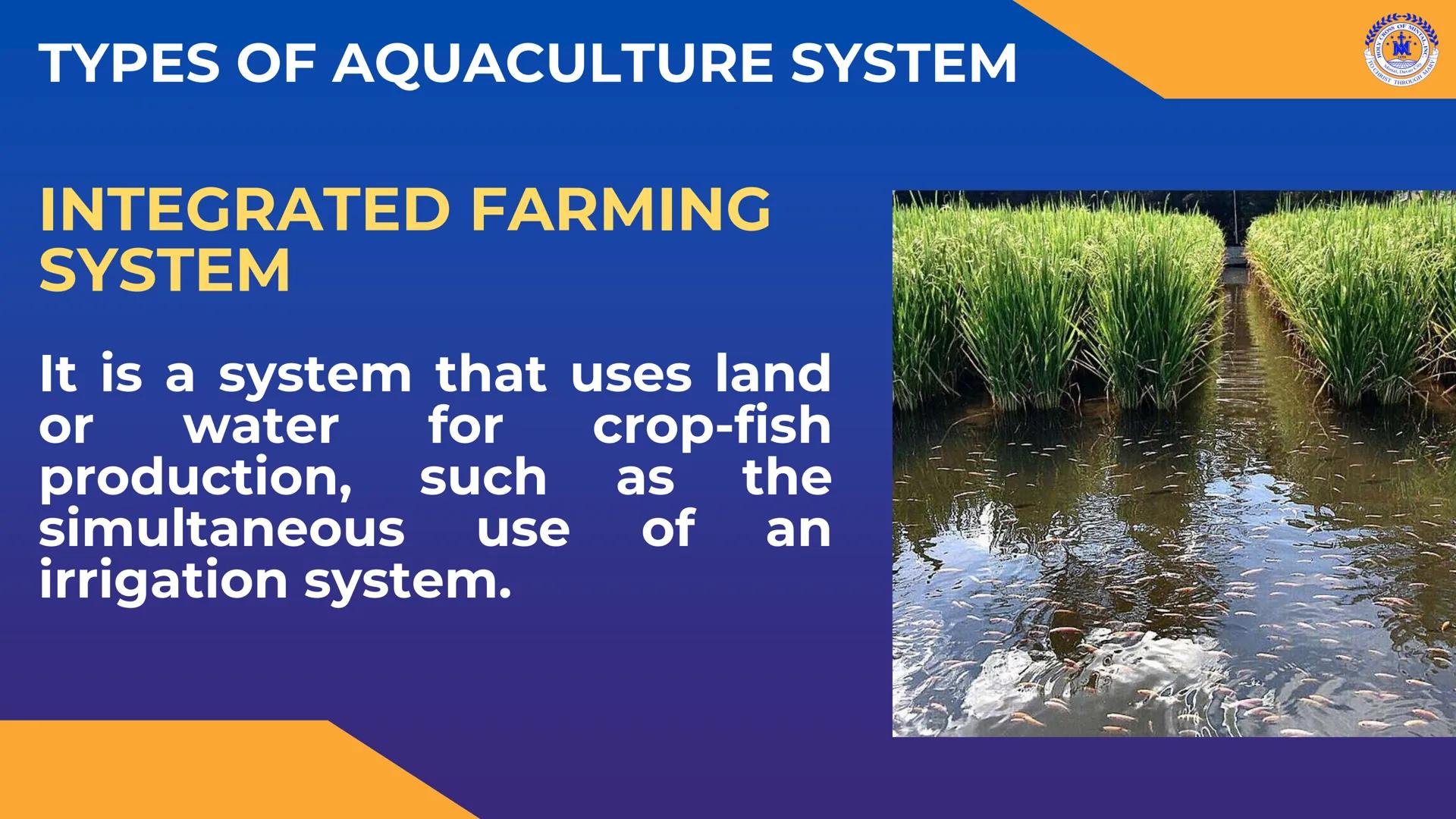 CROSS OF MIN
M
LY
JOH
Mintal, Davao C
TO CHRIST, THROUGH
THERE IS PEACE IN CHRIST. Career Pathways in
TLE
8
CROSS OF MINTAL
★
*
★
HOLY
1959
