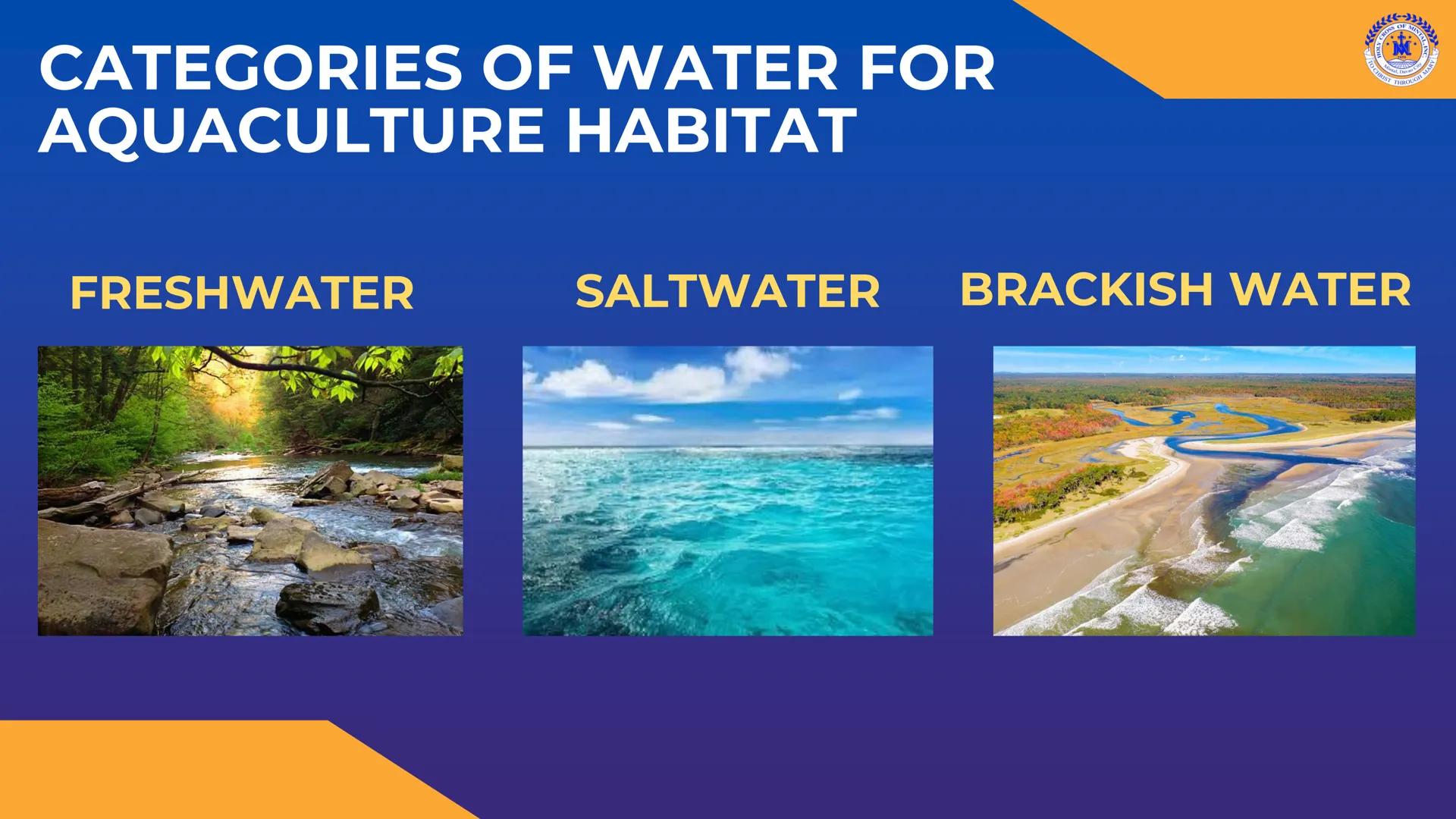 CROSS OF MIN
M
LY
JOH
Mintal, Davao C
TO CHRIST, THROUGH
THERE IS PEACE IN CHRIST. Career Pathways in
TLE
8
CROSS OF MINTAL
★
*
★
HOLY
1959
