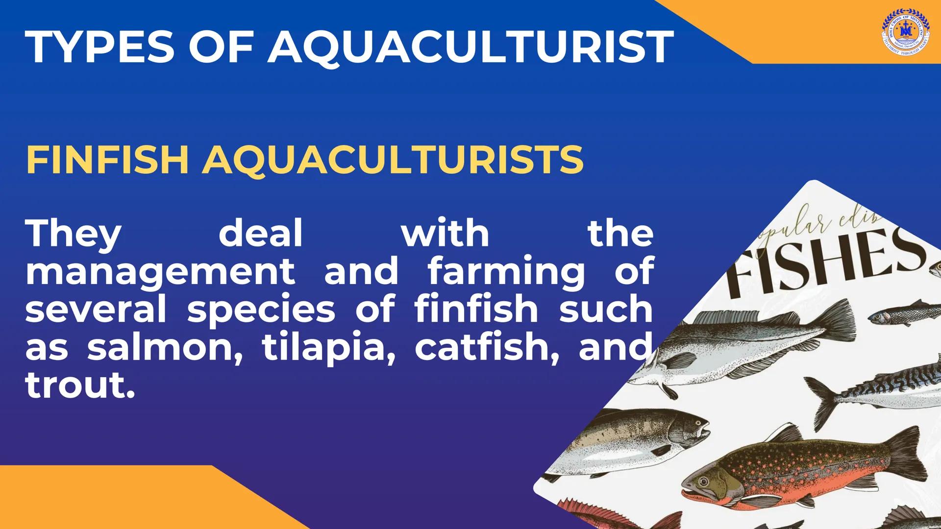 CROSS OF MIN
M
LY
JOH
Mintal, Davao C
TO CHRIST, THROUGH
THERE IS PEACE IN CHRIST. Career Pathways in
TLE
8
CROSS OF MINTAL
★
*
★
HOLY
1959

