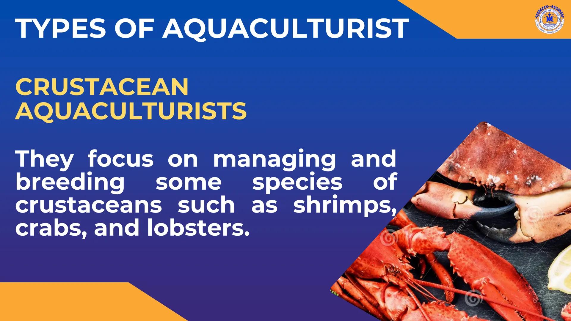 CROSS OF MIN
M
LY
JOH
Mintal, Davao C
TO CHRIST, THROUGH
THERE IS PEACE IN CHRIST. Career Pathways in
TLE
8
CROSS OF MINTAL
★
*
★
HOLY
1959
