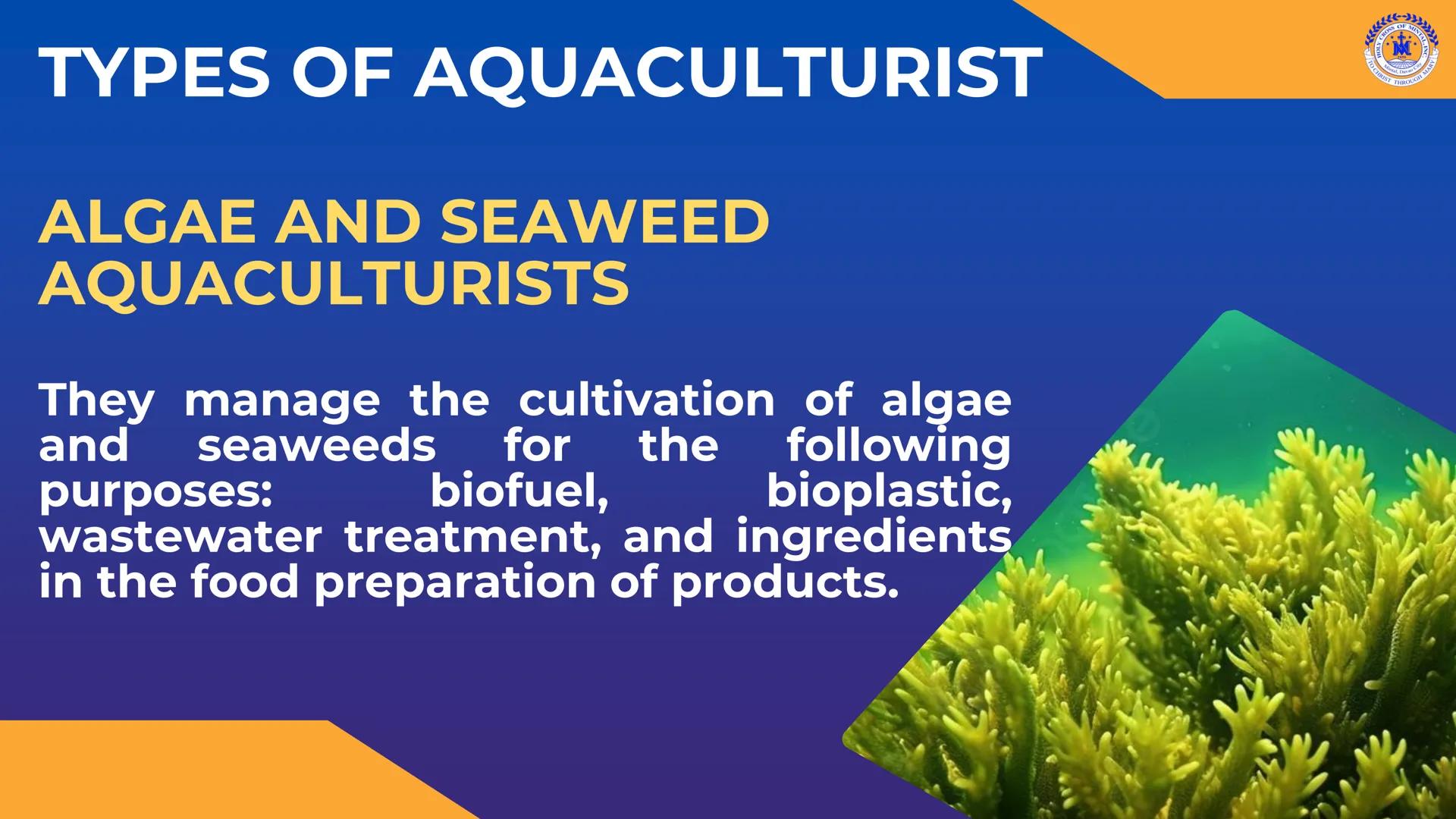 CROSS OF MIN
M
LY
JOH
Mintal, Davao C
TO CHRIST, THROUGH
THERE IS PEACE IN CHRIST. Career Pathways in
TLE
8
CROSS OF MINTAL
★
*
★
HOLY
1959
