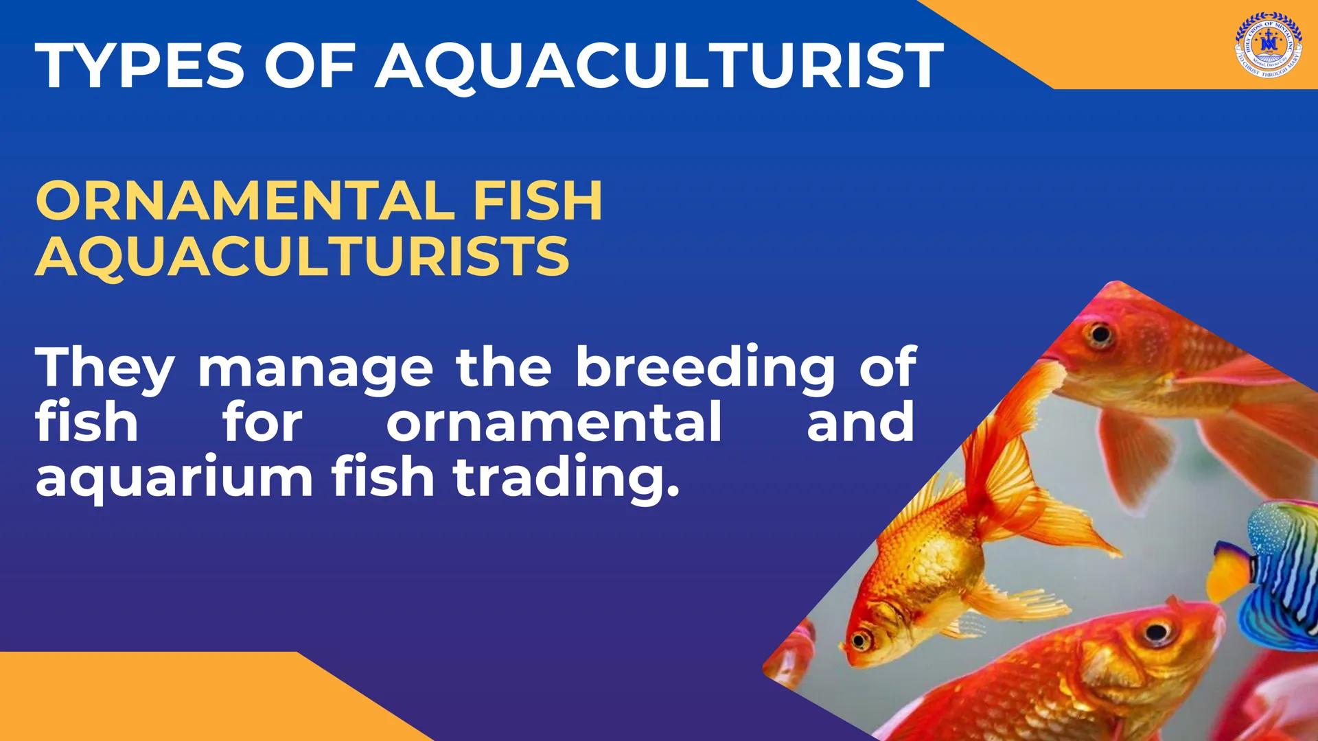 CROSS OF MIN
M
LY
JOH
Mintal, Davao C
TO CHRIST, THROUGH
THERE IS PEACE IN CHRIST. Career Pathways in
TLE
8
CROSS OF MINTAL
★
*
★
HOLY
1959
