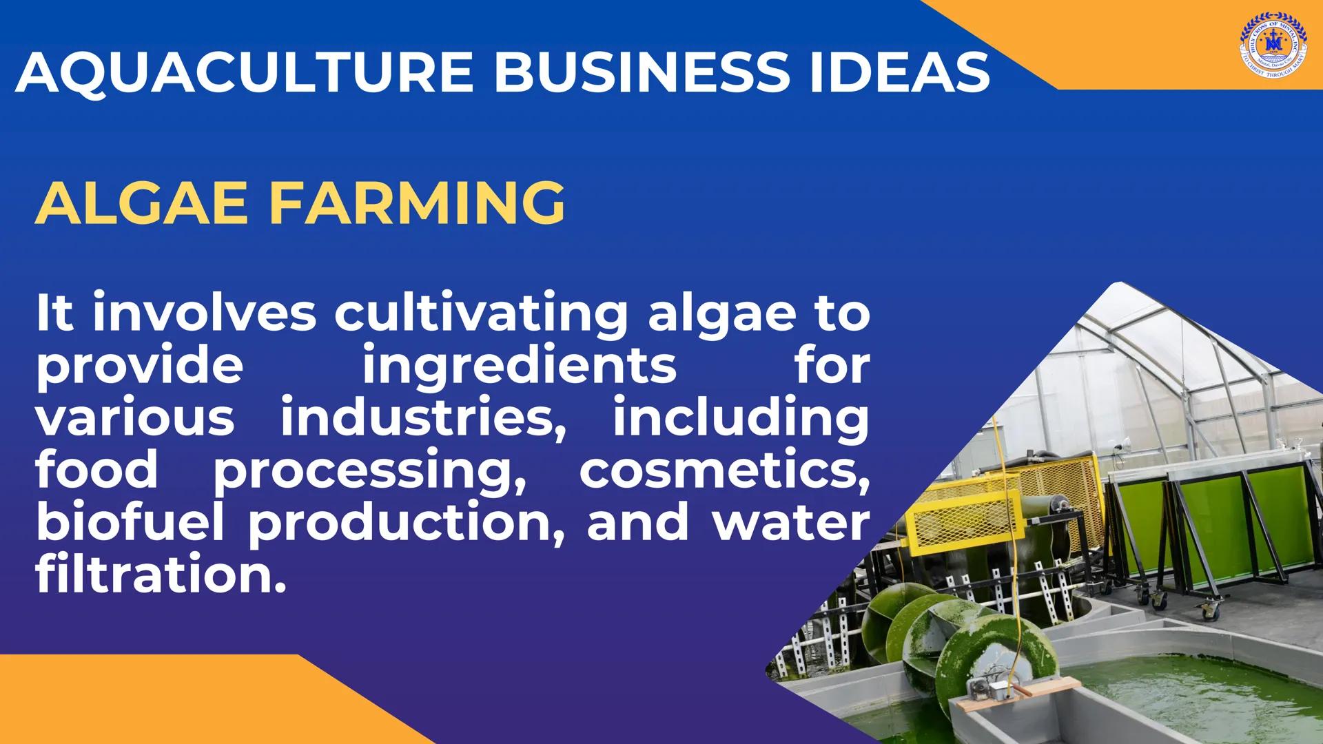 CROSS OF MIN
M
LY
JOH
Mintal, Davao C
TO CHRIST, THROUGH
THERE IS PEACE IN CHRIST. Career Pathways in
TLE
8
CROSS OF MINTAL
★
*
★
HOLY
1959
