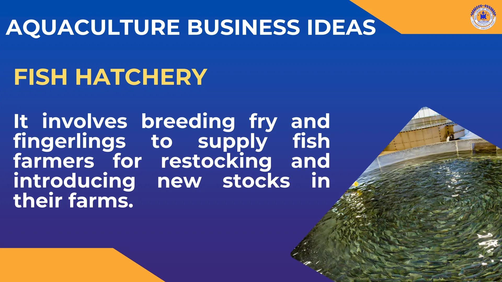 CROSS OF MIN
M
LY
JOH
Mintal, Davao C
TO CHRIST, THROUGH
THERE IS PEACE IN CHRIST. Career Pathways in
TLE
8
CROSS OF MINTAL
★
*
★
HOLY
1959
