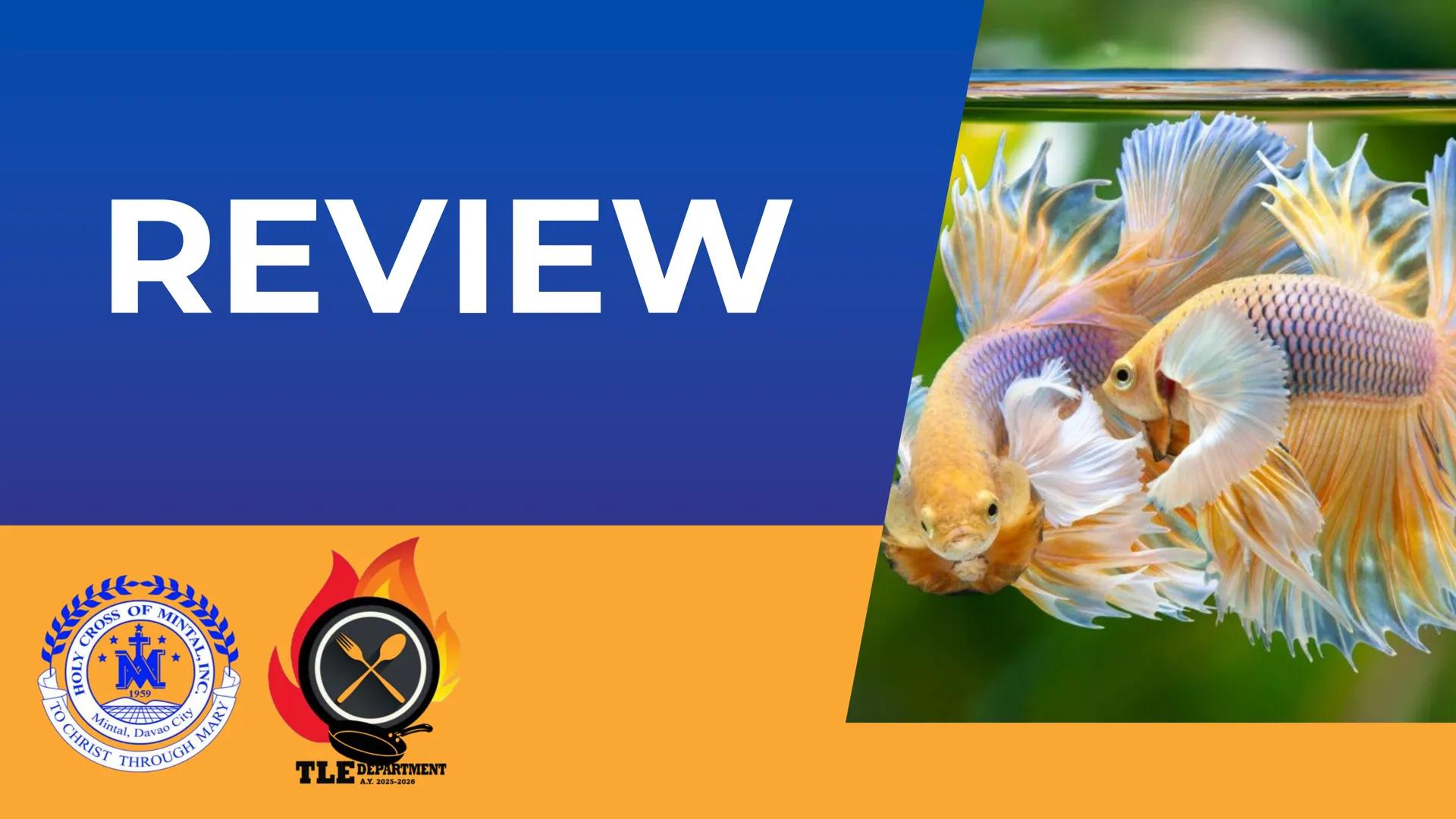 CROSS OF MIN
M
LY
JOH
Mintal, Davao C
TO CHRIST, THROUGH
THERE IS PEACE IN CHRIST. Career Pathways in
TLE
8
CROSS OF MINTAL
★
*
★
HOLY
1959
