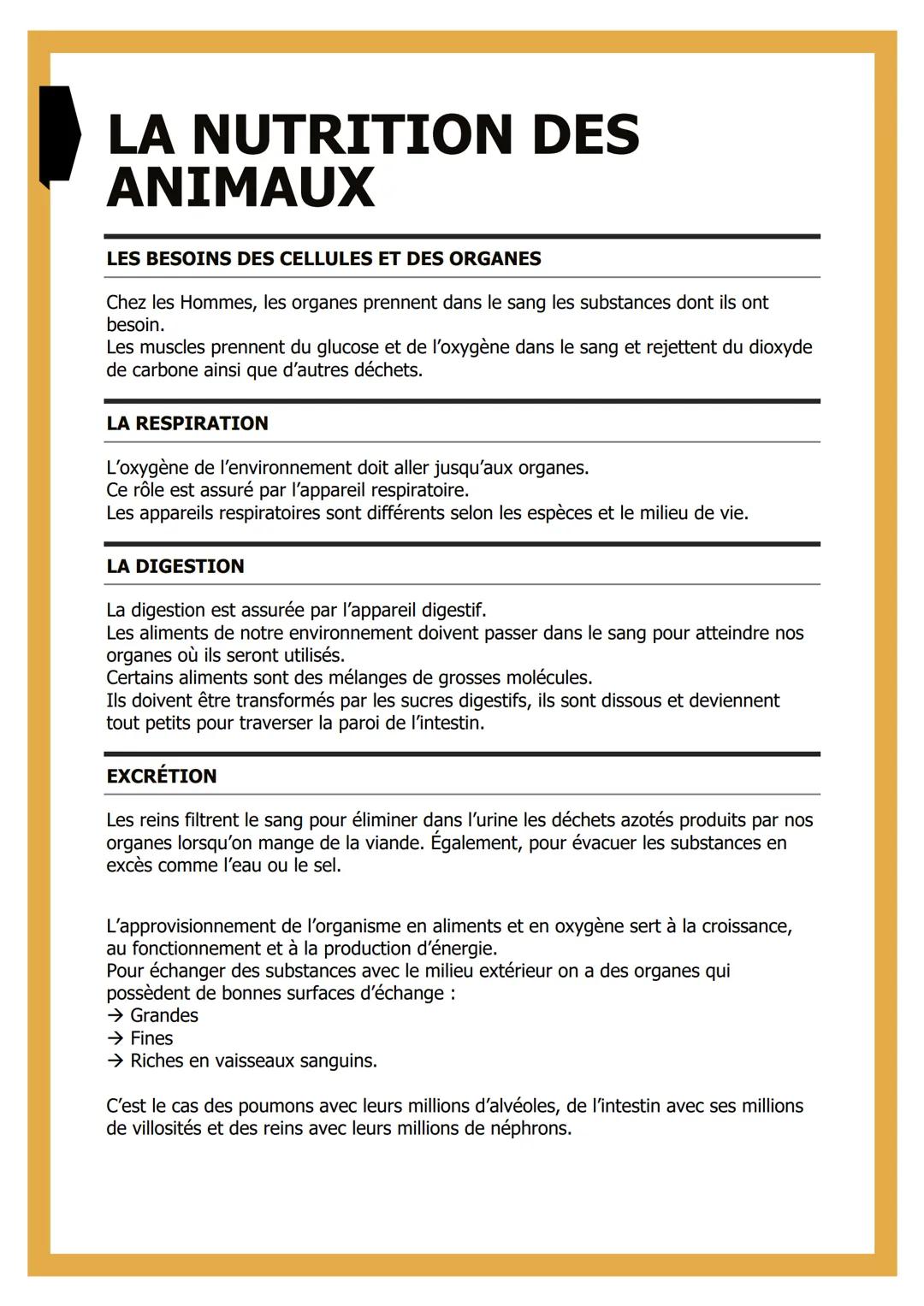 # LA NUTRITION DES
ANIMAUX

LES BESOINS DES CELLULES ET DES ORGANES

Chez les Hommes, les organes prennent dans le sang les substances dont 