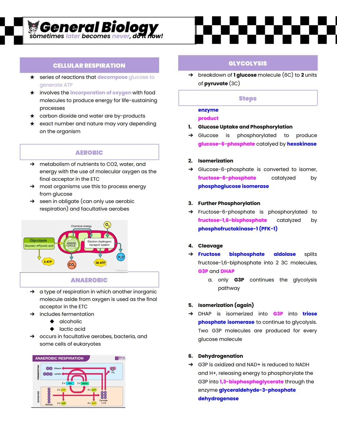General Biology
sometimes later becomes never, doit now!
CELLULAR RESPIRATION
★ series of reactions that decompose glucose to
generate ATP
★