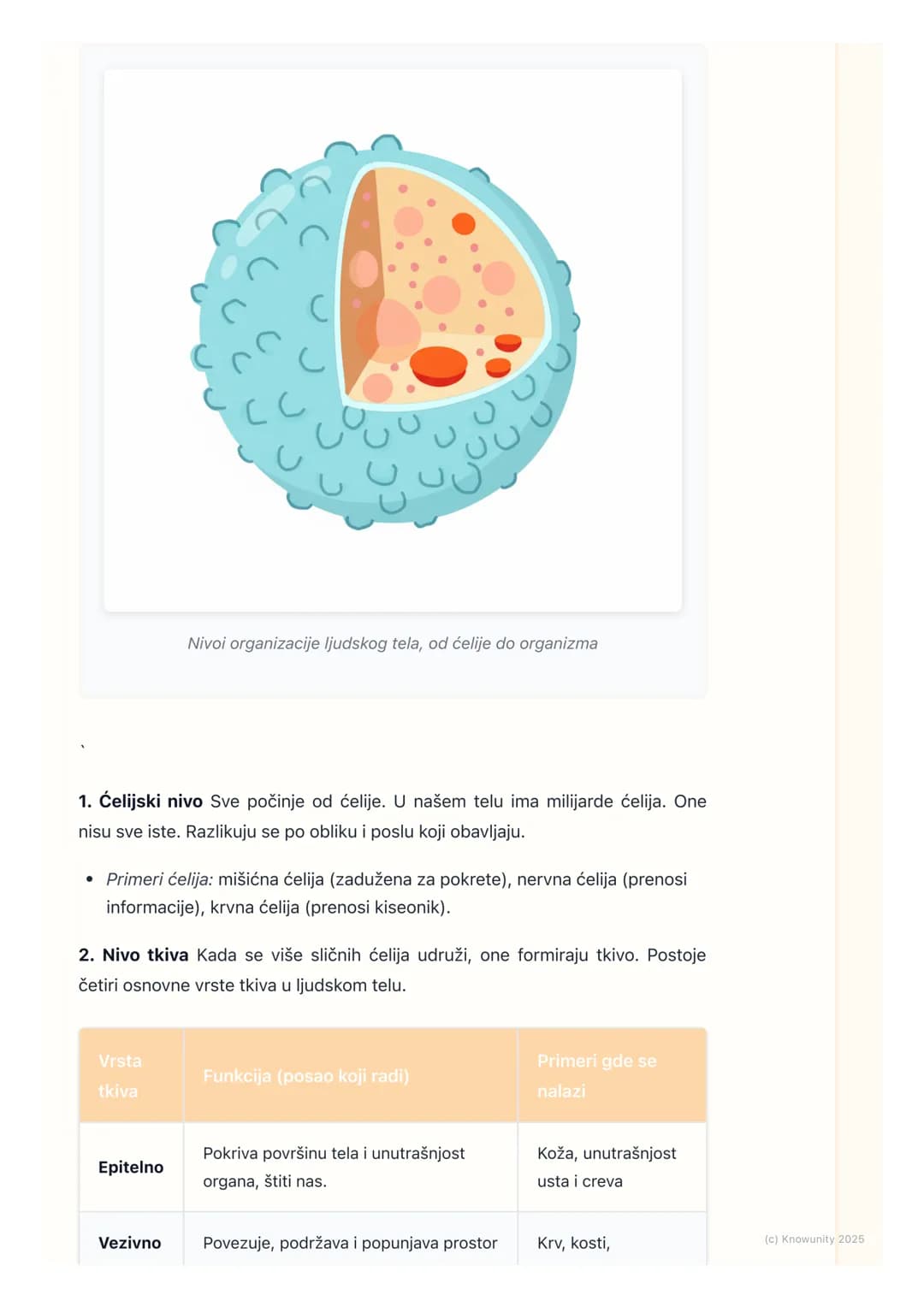 # Organizacija ljudskog tela

Organizacija ljudskog tela

Naše telo je kao jedna veoma složena mašina. Sastoji se od mnogo različitih
delova