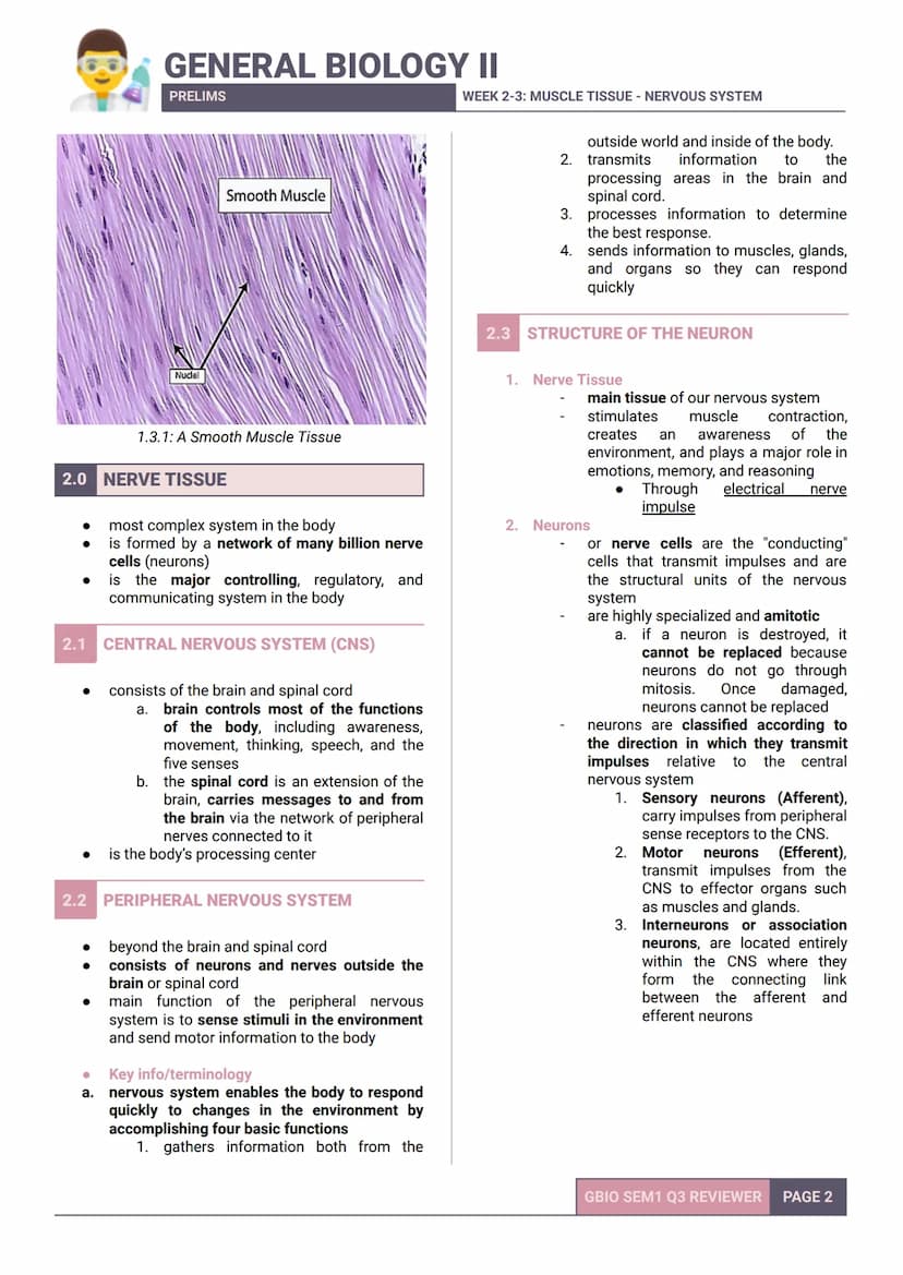 GENERAL BIOLOGY II
PRELIMS
- SEM 2 Q3 WEEK 2-3-
WEEK 2-3: MUSCLE TISSUE - NERVOUS SYSTEM
1.0 MUSCLE TISSUE

* is one of the four fundamental