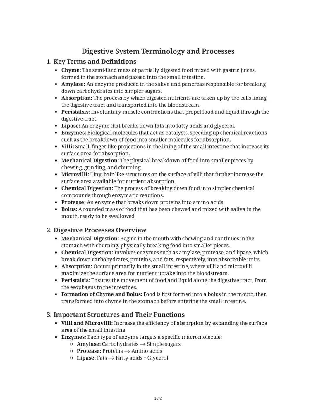 Digestive System: Terms and Processes