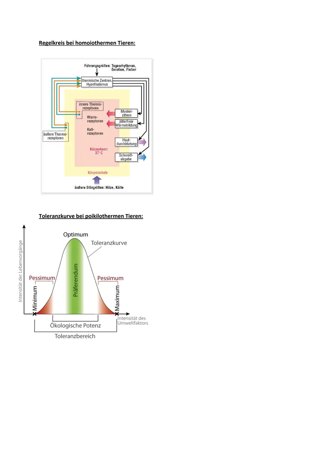 # Ökologie

Definition:

- Wechselwirkungen zwischen Organismen und ihrer Umwelt
- Beziehungen der Organismen untereinander
- Einflüsse von 
