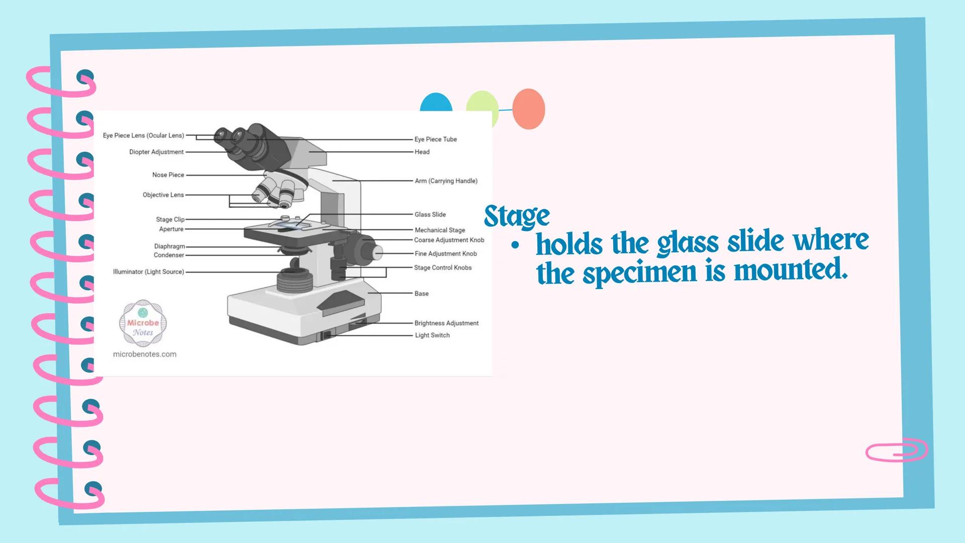 ## Microscope # Objectives

By the end of the session, you should be able to:
1. identify the parts and functions of a compound microscope;
