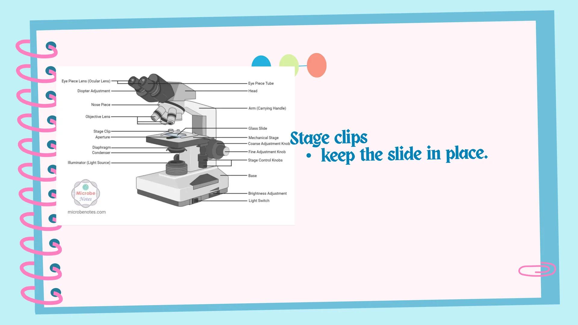 ## Microscope # Objectives

By the end of the session, you should be able to:
1. identify the parts and functions of a compound microscope;
