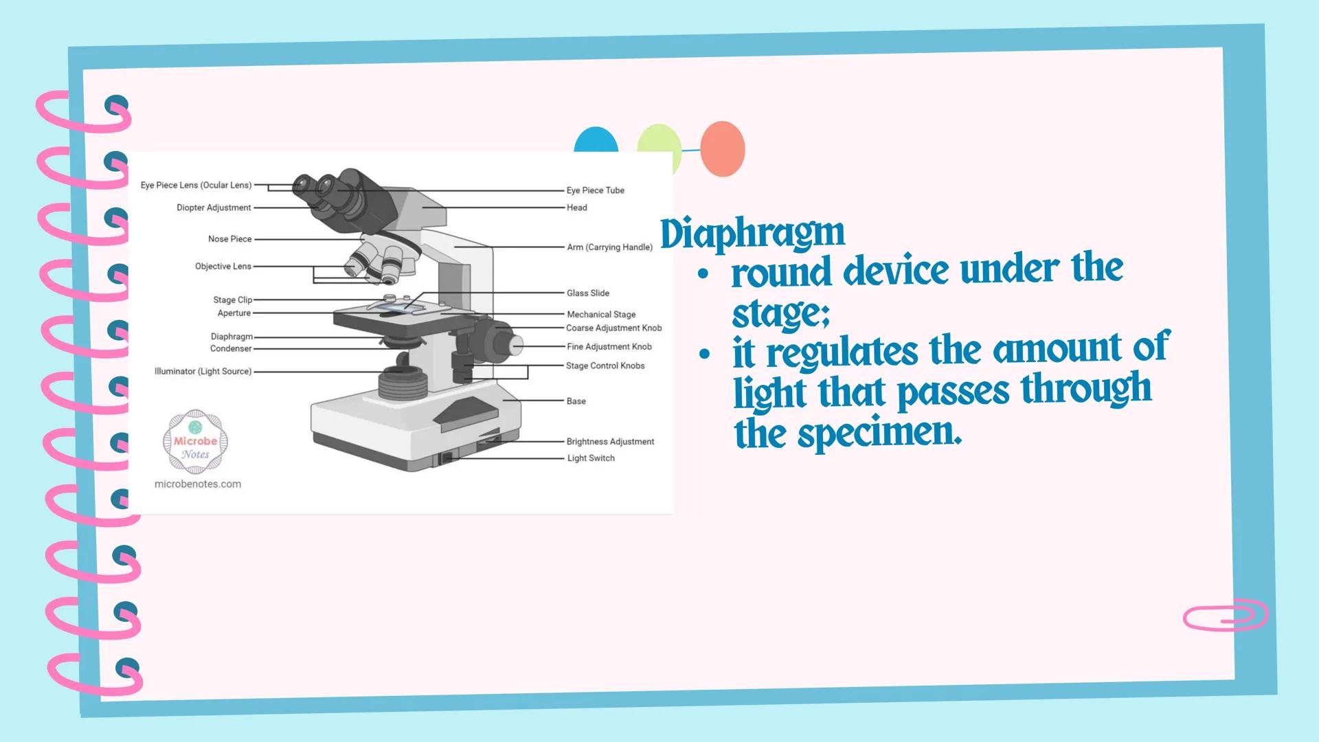## Microscope # Objectives

By the end of the session, you should be able to:
1. identify the parts and functions of a compound microscope;
