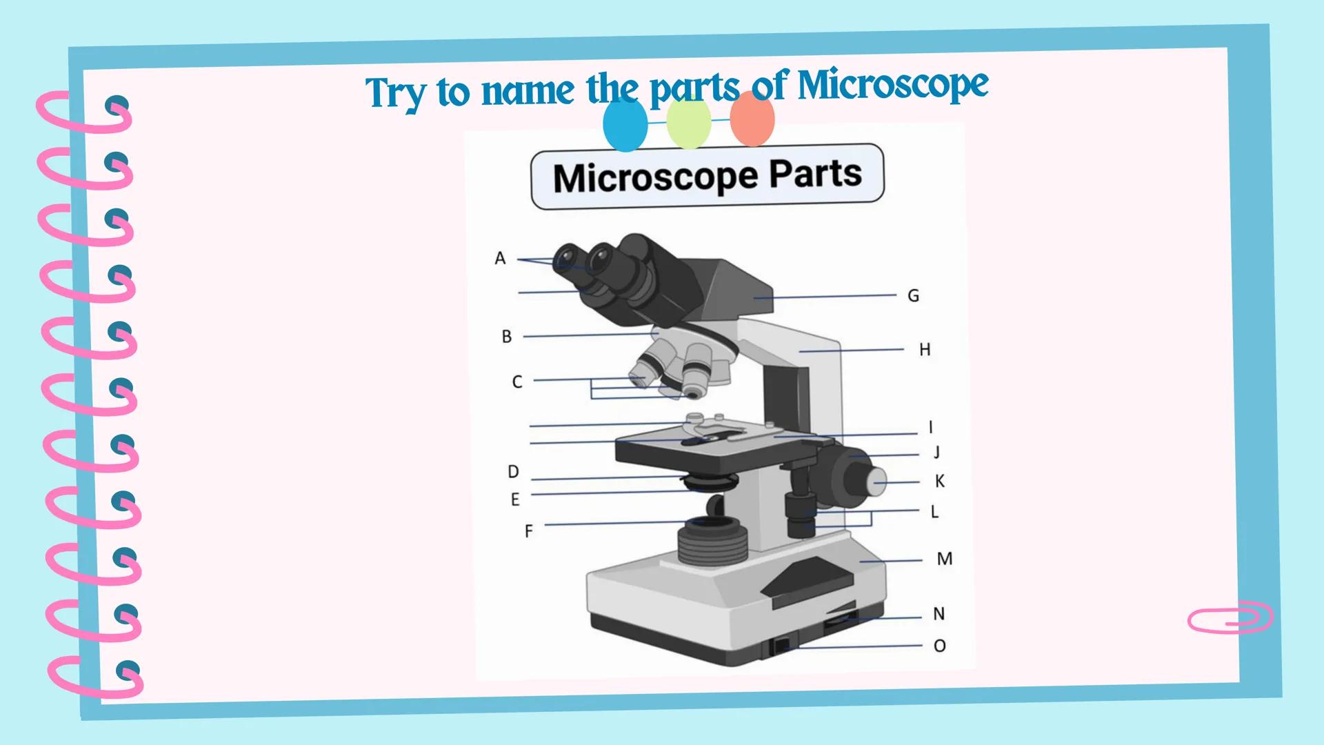## Microscope # Objectives

By the end of the session, you should be able to:
1. identify the parts and functions of a compound microscope;
