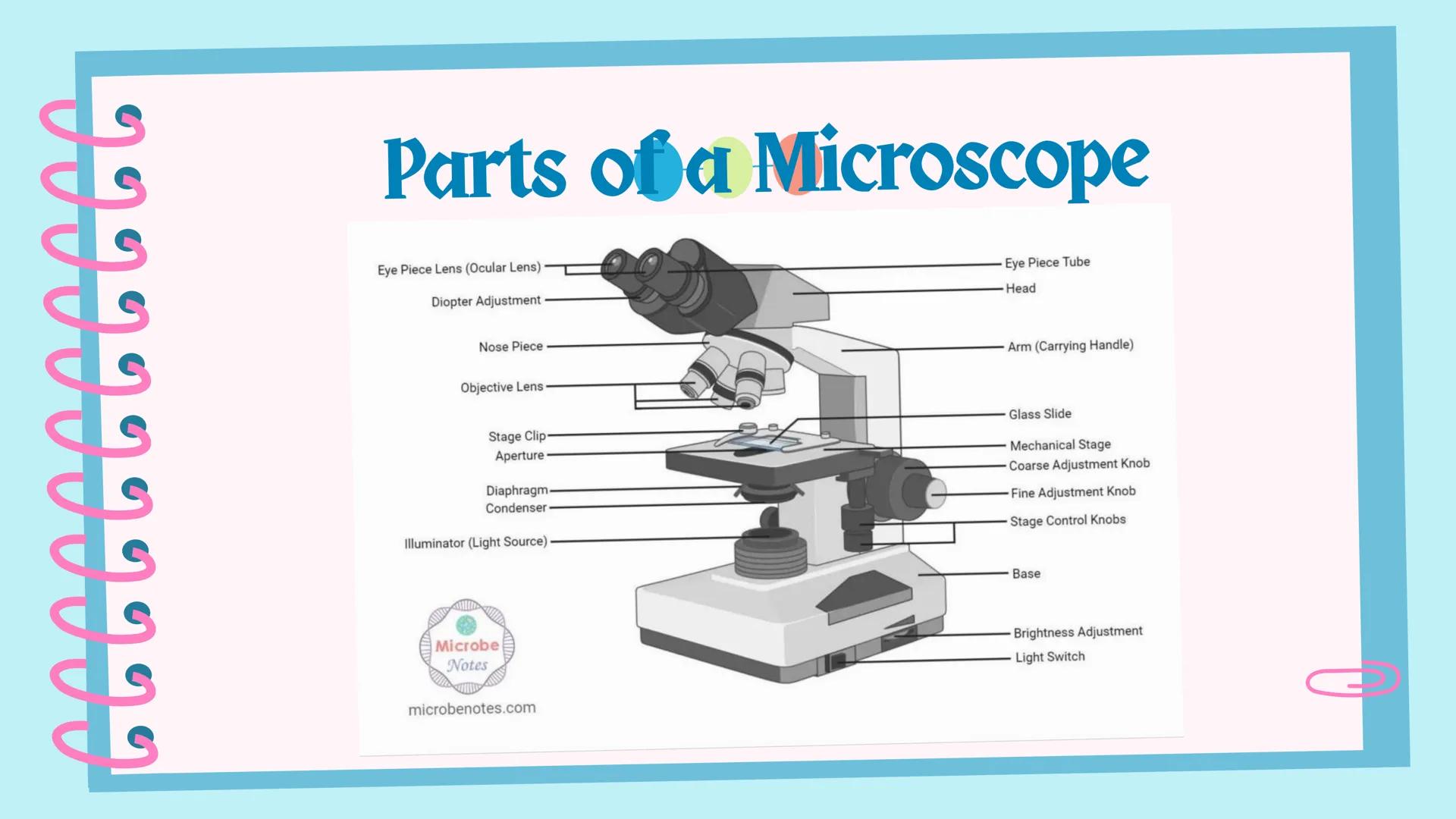 ## Microscope # Objectives

By the end of the session, you should be able to:
1. identify the parts and functions of a compound microscope;
