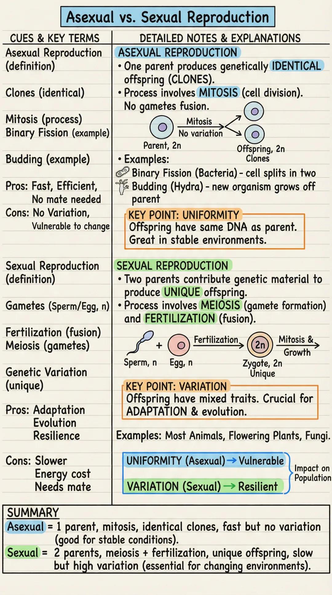 # Asexual vs. Sexual Reproduction

CUES & KEY TERMS
Asexual Reproduction
(definition)

Clones (identical)

Mitosis (process)
Binary Fission 