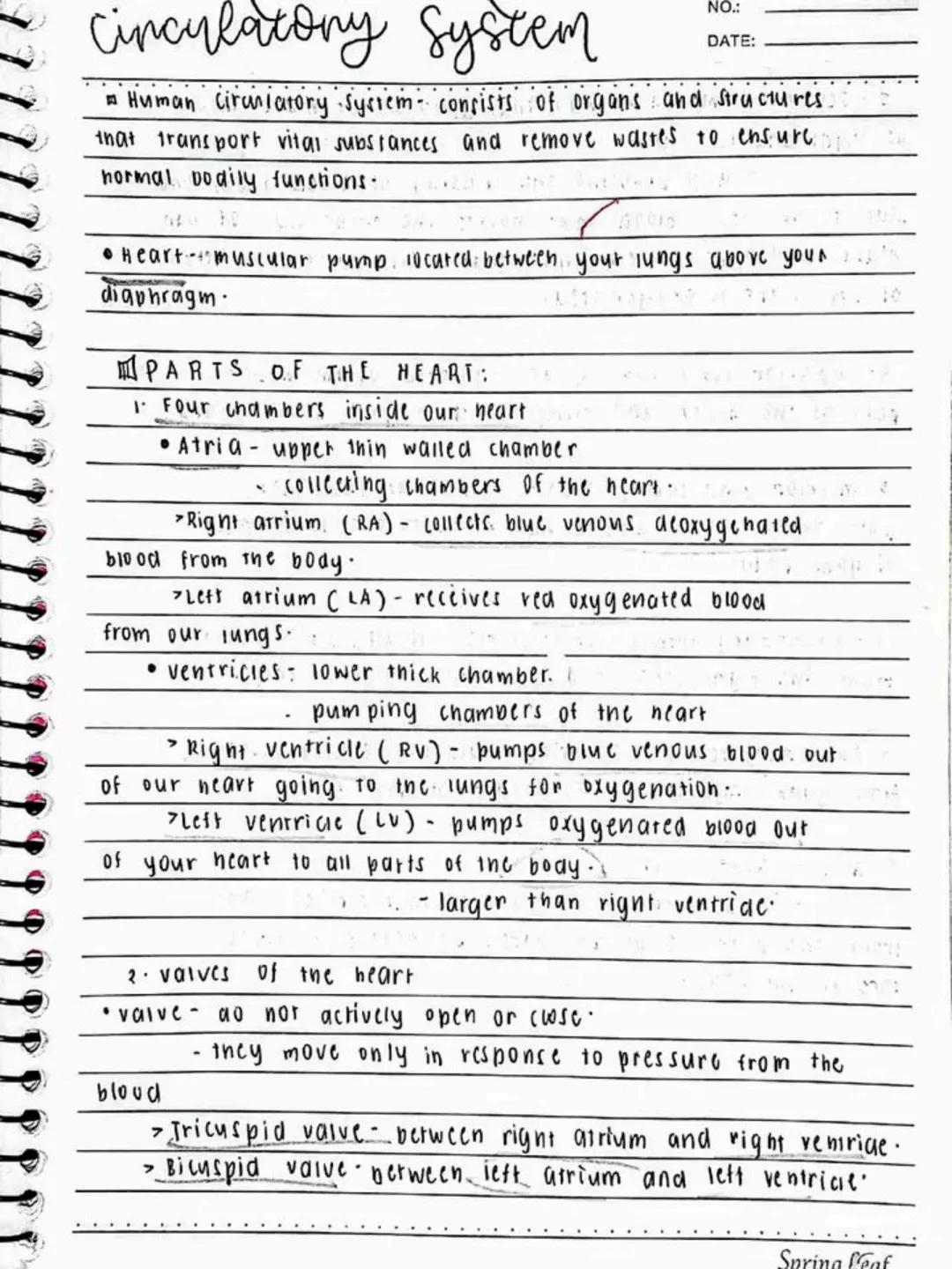 --- OCR Start ---
Respiratory AND circulatory
Systems
NO.:
DATE: 08/05/24
• Respiratory system- macie up of the organs in the bogy that
help