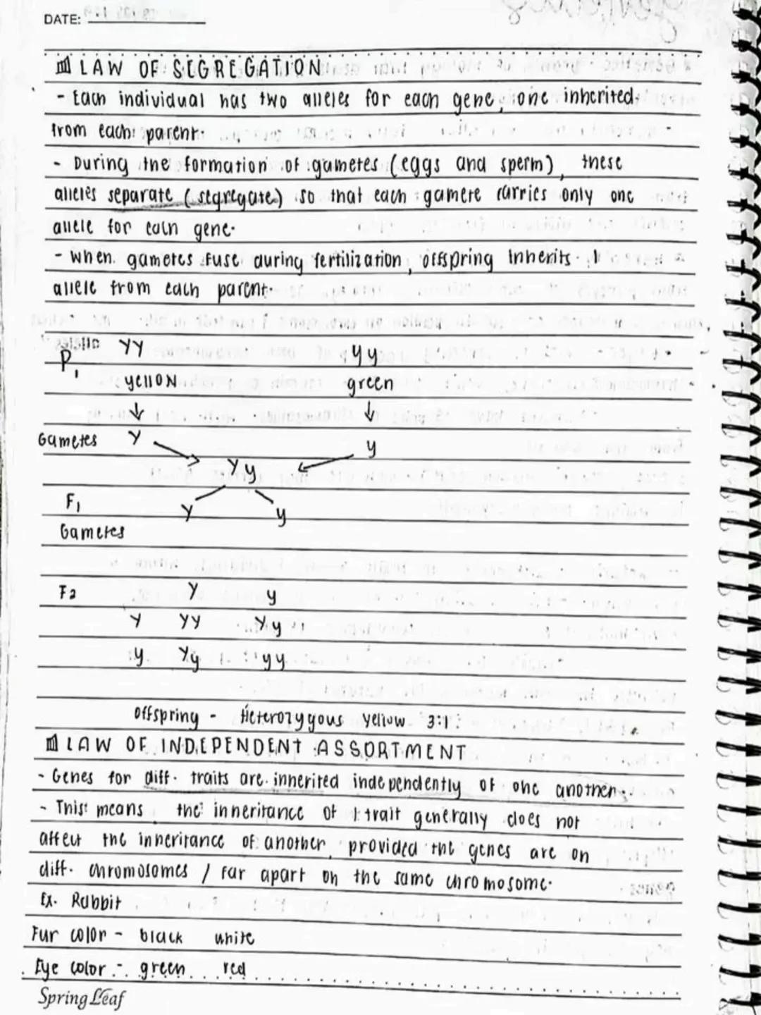 --- OCR Start ---
Respiratory AND circulatory
Systems
NO.:
DATE: 08/05/24
• Respiratory system- macie up of the organs in the bogy that
help