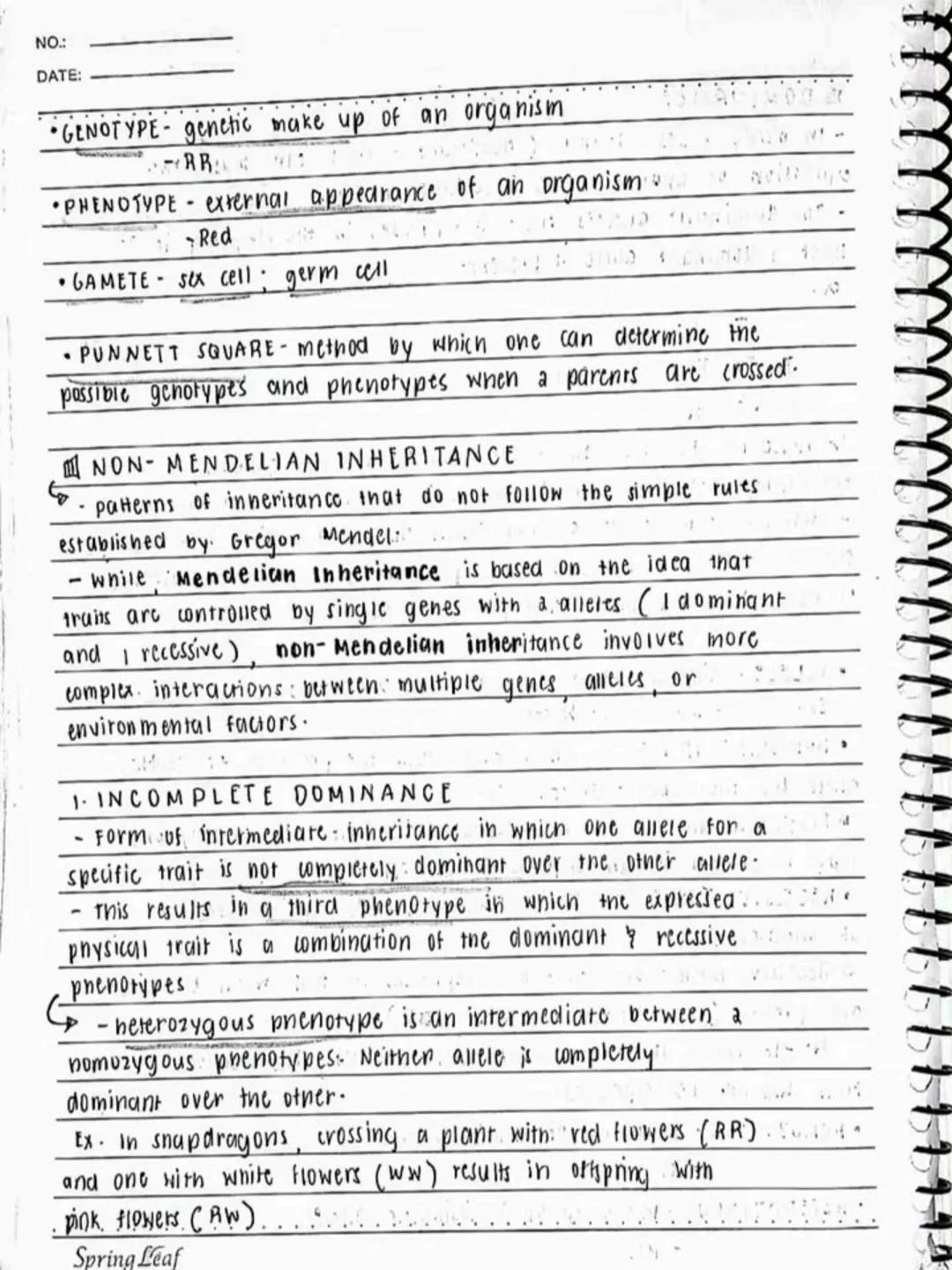 --- OCR Start ---
Respiratory AND circulatory
Systems
NO.:
DATE: 08/05/24
• Respiratory system- macie up of the organs in the bogy that
help