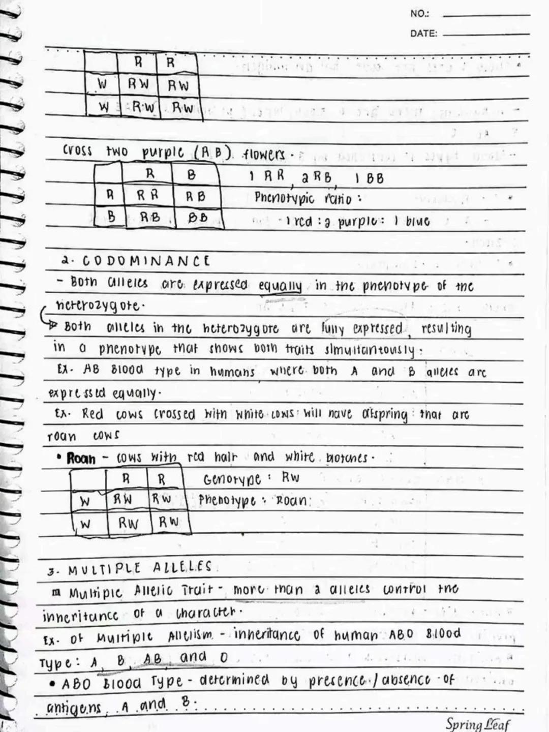 --- OCR Start ---
Respiratory AND circulatory
Systems
NO.:
DATE: 08/05/24
• Respiratory system- macie up of the organs in the bogy that
help
