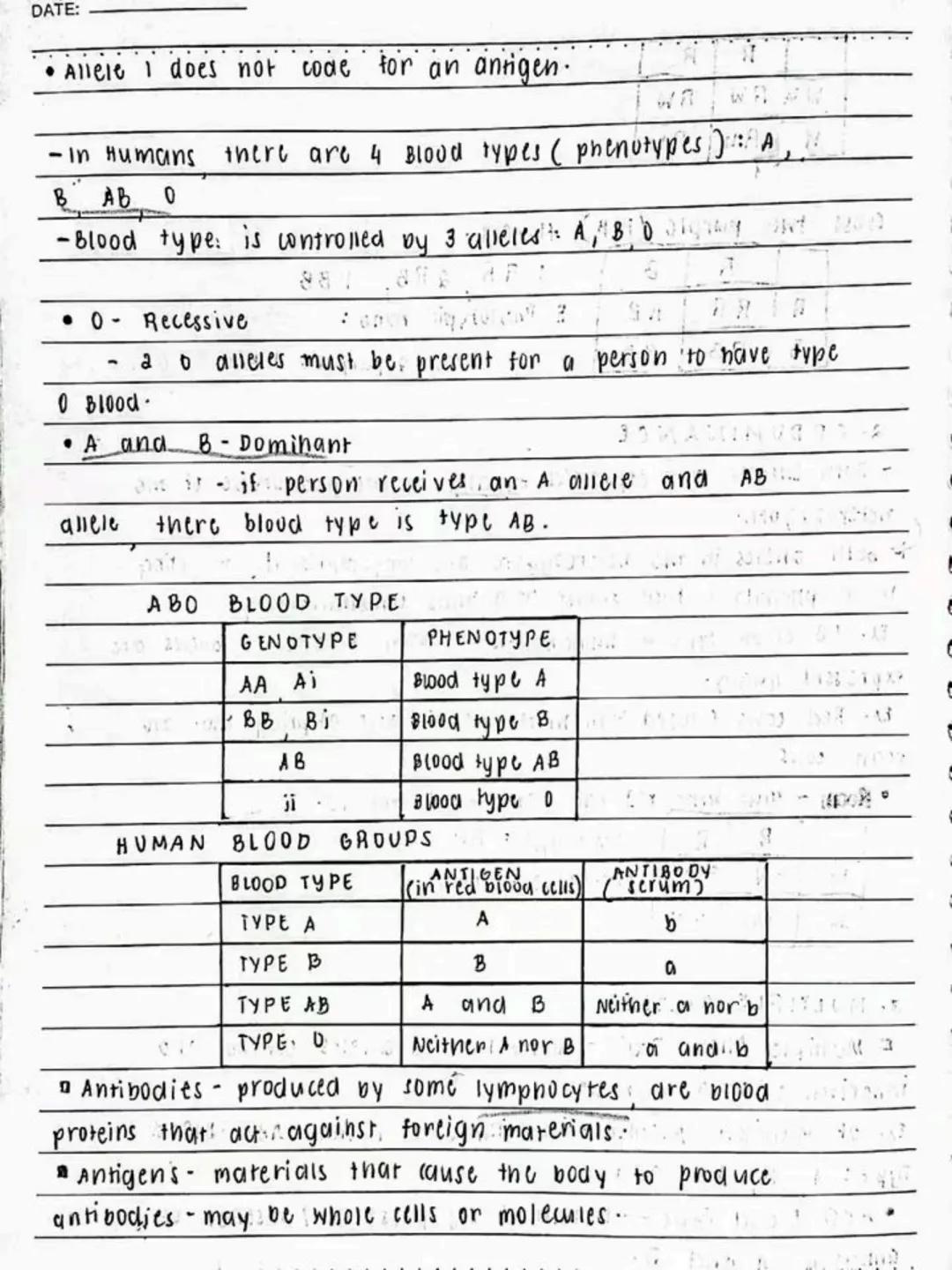 --- OCR Start ---
Respiratory AND circulatory
Systems
NO.:
DATE: 08/05/24
• Respiratory system- macie up of the organs in the bogy that
help