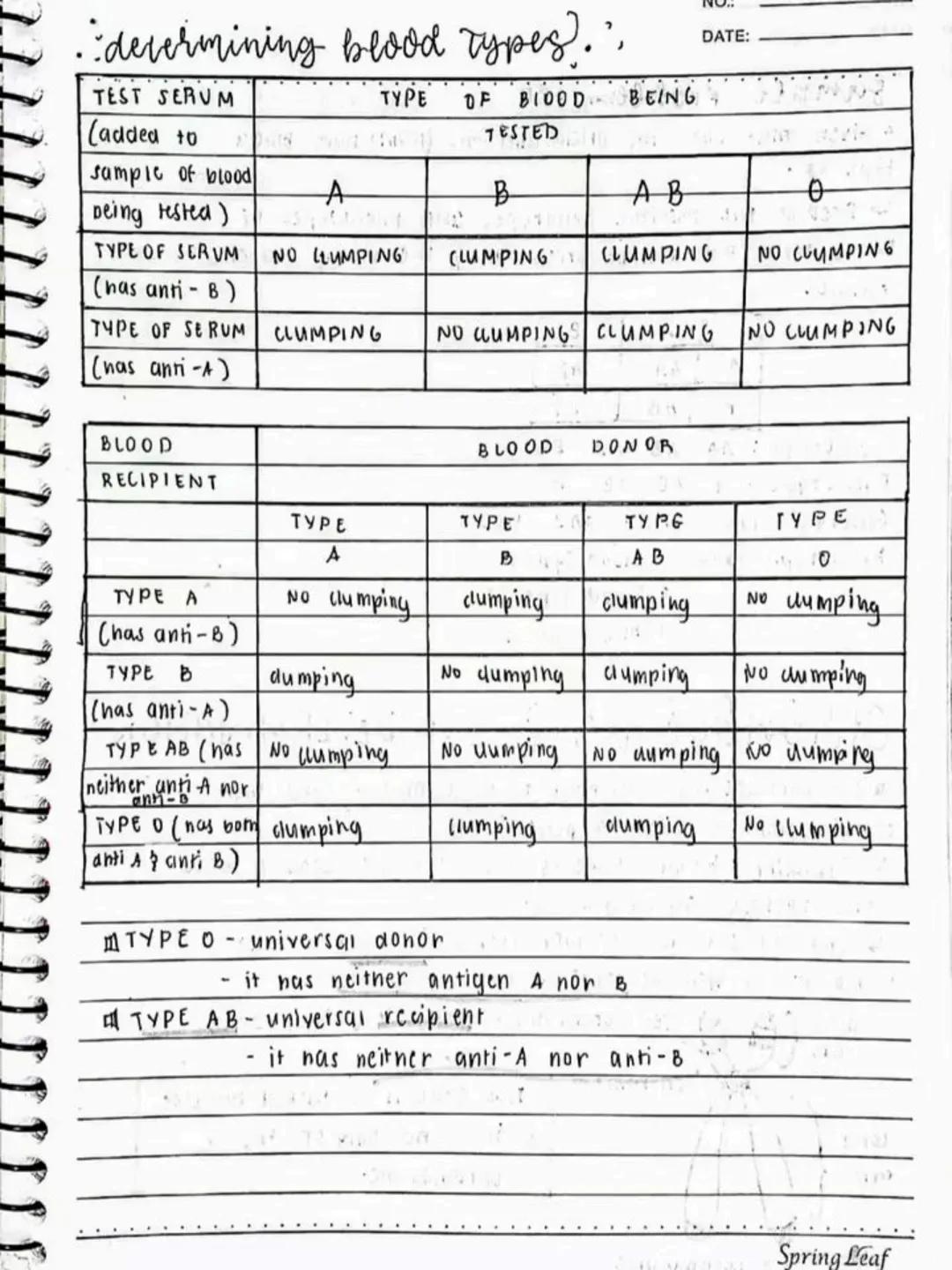 --- OCR Start ---
Respiratory AND circulatory
Systems
NO.:
DATE: 08/05/24
• Respiratory system- macie up of the organs in the bogy that
help