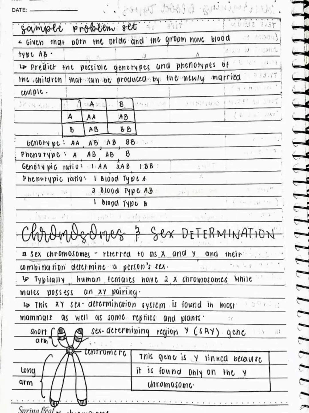 --- OCR Start ---
Respiratory AND circulatory
Systems
NO.:
DATE: 08/05/24
• Respiratory system- macie up of the organs in the bogy that
help