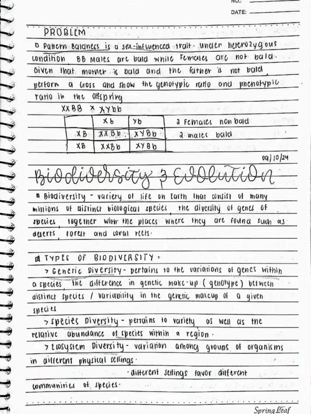 --- OCR Start ---
Respiratory AND circulatory
Systems
NO.:
DATE: 08/05/24
• Respiratory system- macie up of the organs in the bogy that
help
