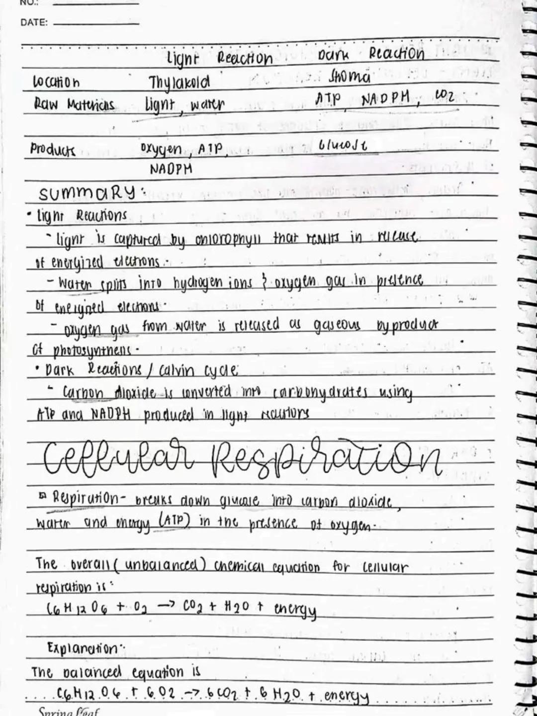 --- OCR Start ---
Respiratory AND circulatory
Systems
NO.:
DATE: 08/05/24
• Respiratory system- macie up of the organs in the bogy that
help