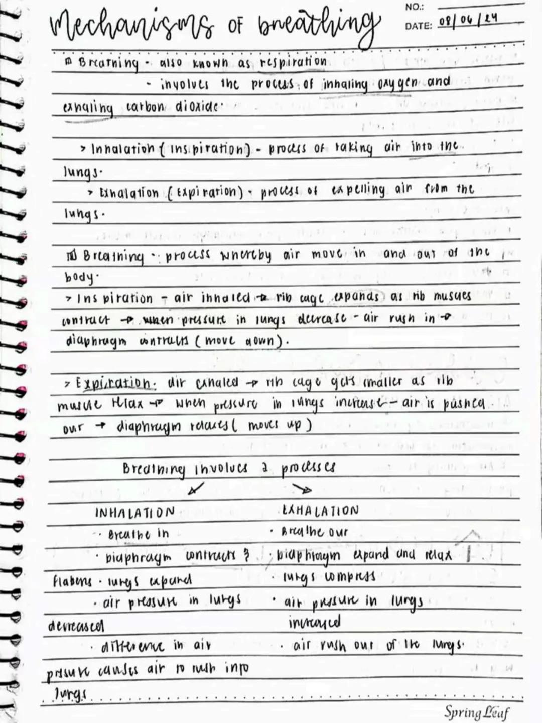 --- OCR Start ---
Respiratory AND circulatory
Systems
NO.:
DATE: 08/05/24
• Respiratory system- macie up of the organs in the bogy that
help