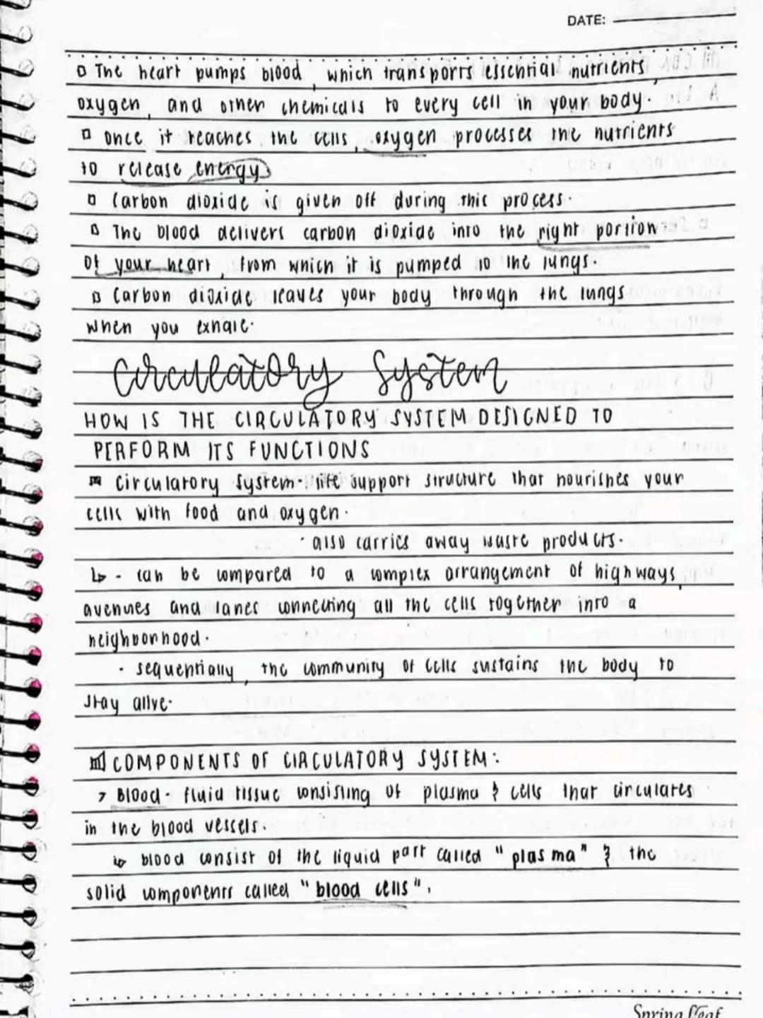 --- OCR Start ---
Respiratory AND circulatory
Systems
NO.:
DATE: 08/05/24
• Respiratory system- macie up of the organs in the bogy that
help