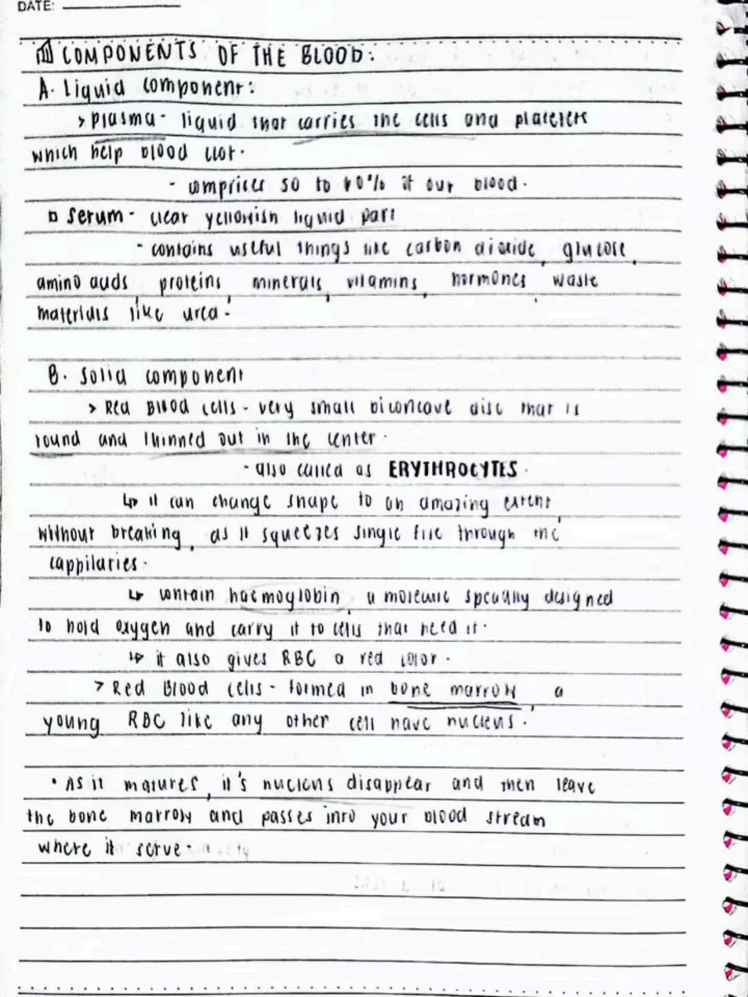 --- OCR Start ---
Respiratory AND circulatory
Systems
NO.:
DATE: 08/05/24
• Respiratory system- macie up of the organs in the bogy that
help