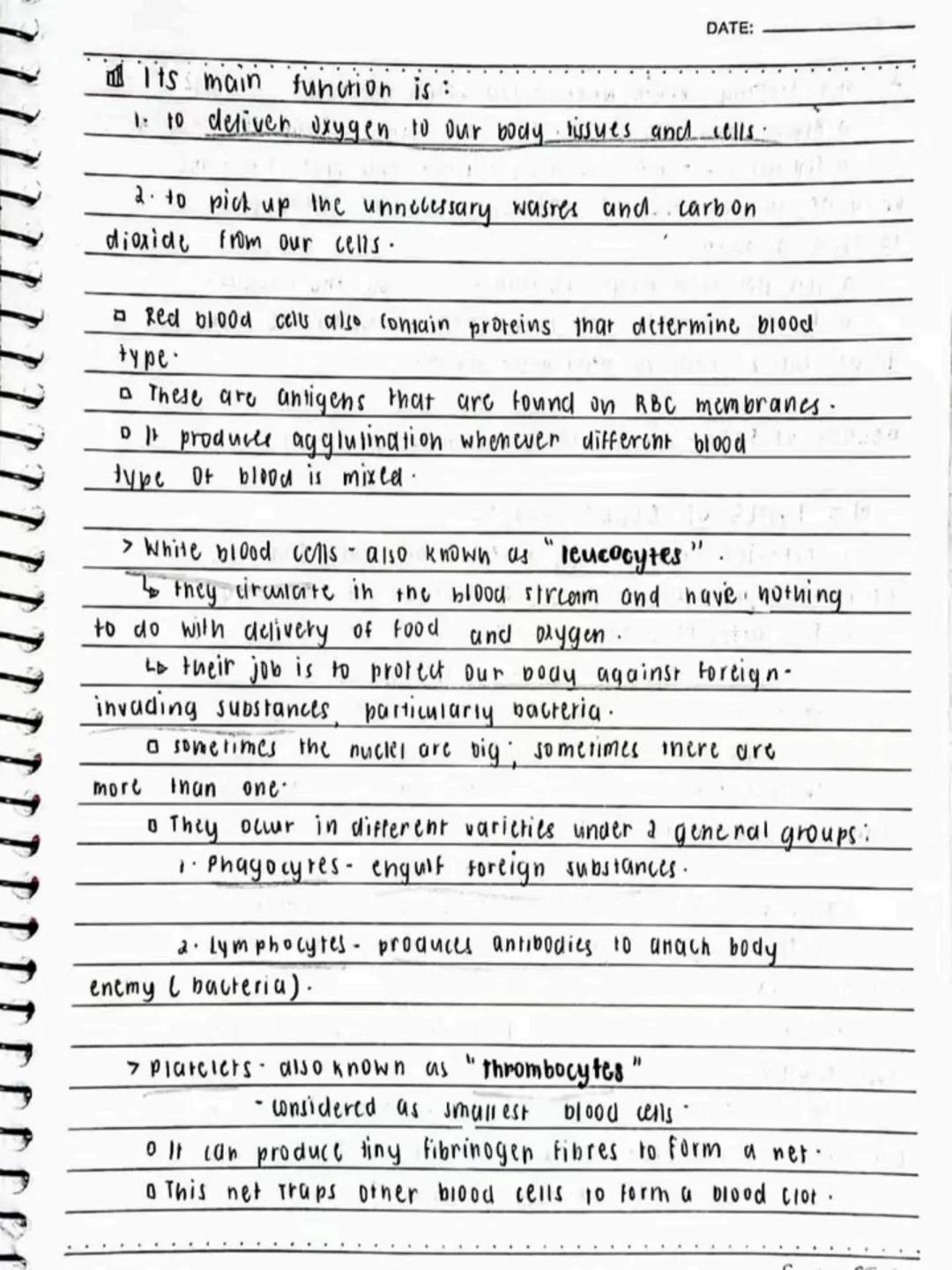 --- OCR Start ---
Respiratory AND circulatory
Systems
NO.:
DATE: 08/05/24
• Respiratory system- macie up of the organs in the bogy that
help