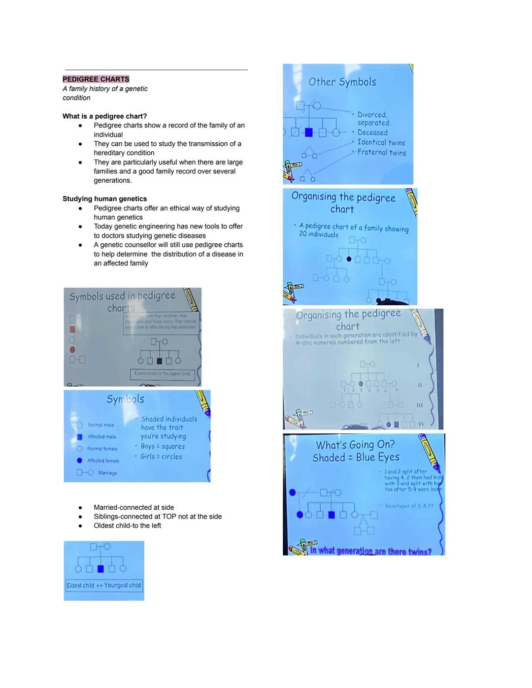 GENERAL BIOLOGY 2
Genetic Engineering Process - This
process involves modifying an organism's
genetic code to introduce new traits not
natur