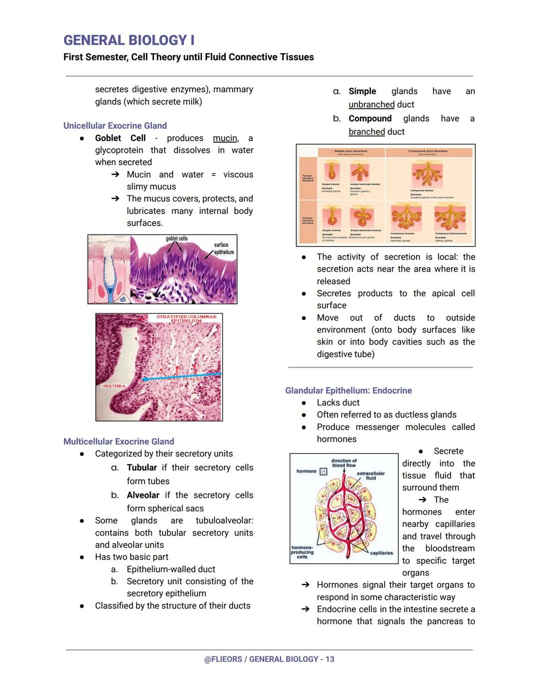 GENERAL BIOLOGY I
First Semester, Cell Theory until Fluid Connective Tissues
First Century (Year 100)
Romans had already invented and experi