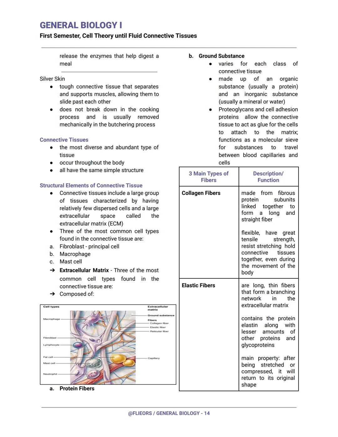 GENERAL BIOLOGY I
First Semester, Cell Theory until Fluid Connective Tissues
First Century (Year 100)
Romans had already invented and experi