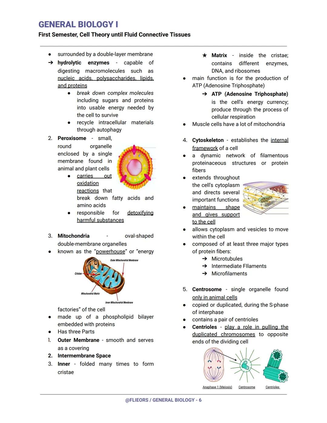 GENERAL BIOLOGY I
First Semester, Cell Theory until Fluid Connective Tissues
First Century (Year 100)
Romans had already invented and experi