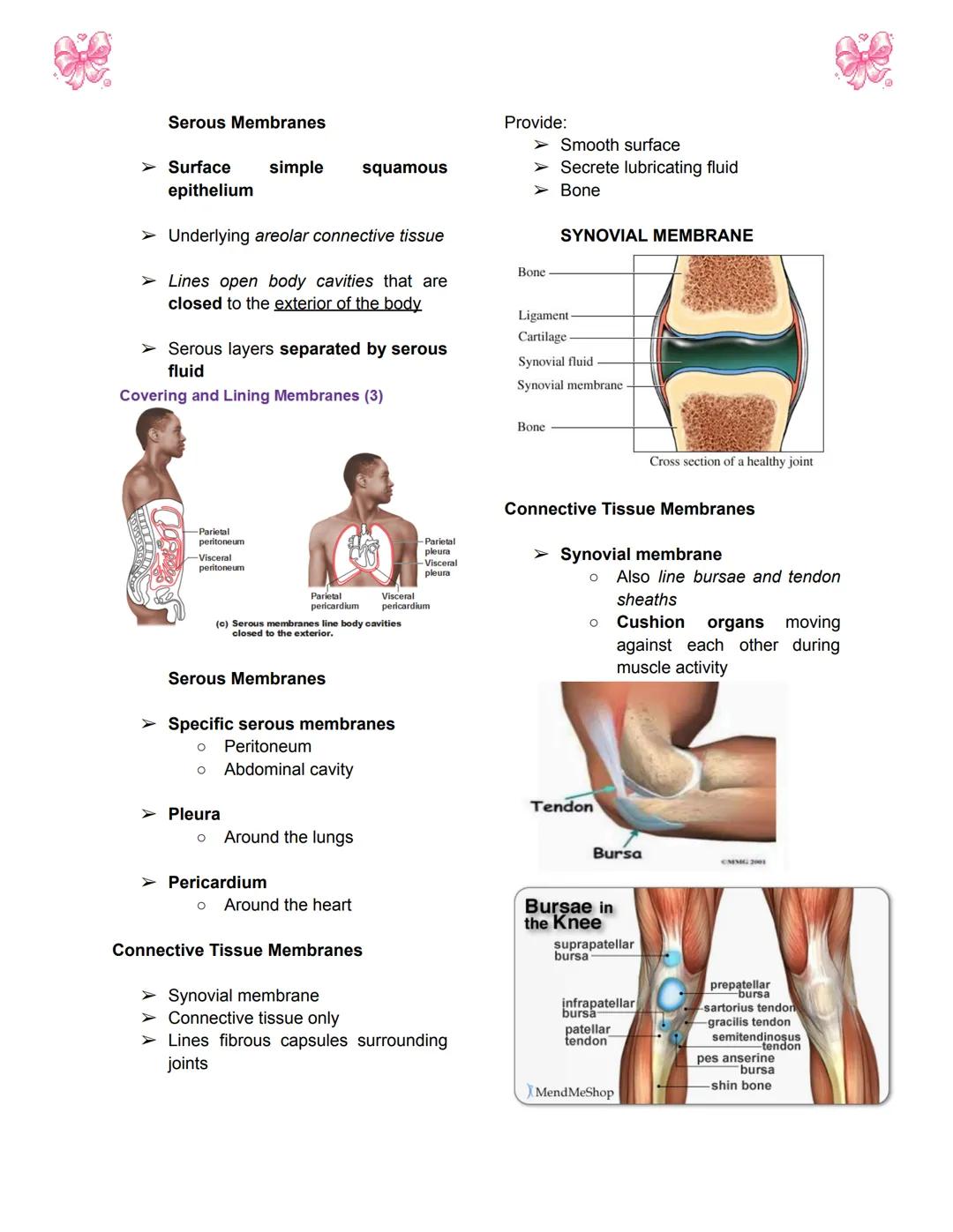 # BODY TISSUES
## Hierarchy of Structural Organization
> Each of these build upon one another to make up the next level:
> - Chemical lev