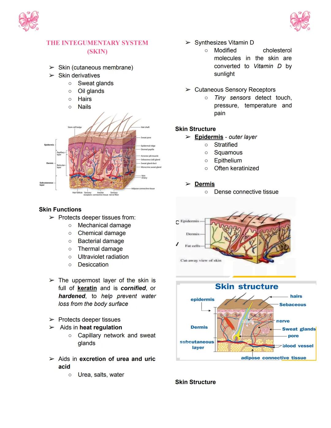 # BODY TISSUES
## Hierarchy of Structural Organization
> Each of these build upon one another to make up the next level:
> - Chemical lev