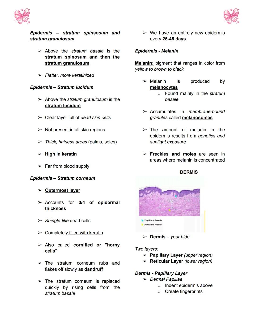 # BODY TISSUES
## Hierarchy of Structural Organization
> Each of these build upon one another to make up the next level:
> - Chemical lev