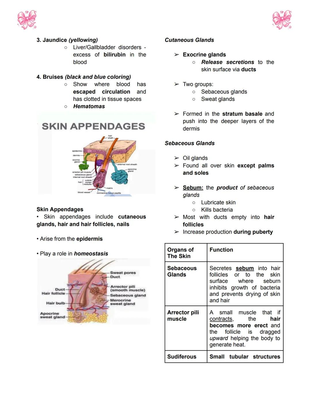 # BODY TISSUES
## Hierarchy of Structural Organization
> Each of these build upon one another to make up the next level:
> - Chemical lev