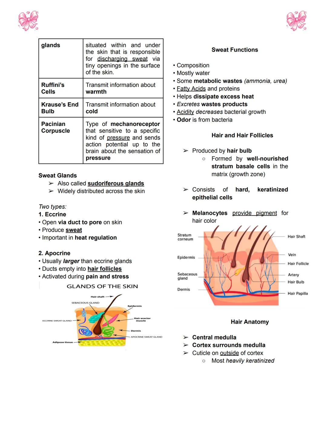 # BODY TISSUES
## Hierarchy of Structural Organization
> Each of these build upon one another to make up the next level:
> - Chemical lev