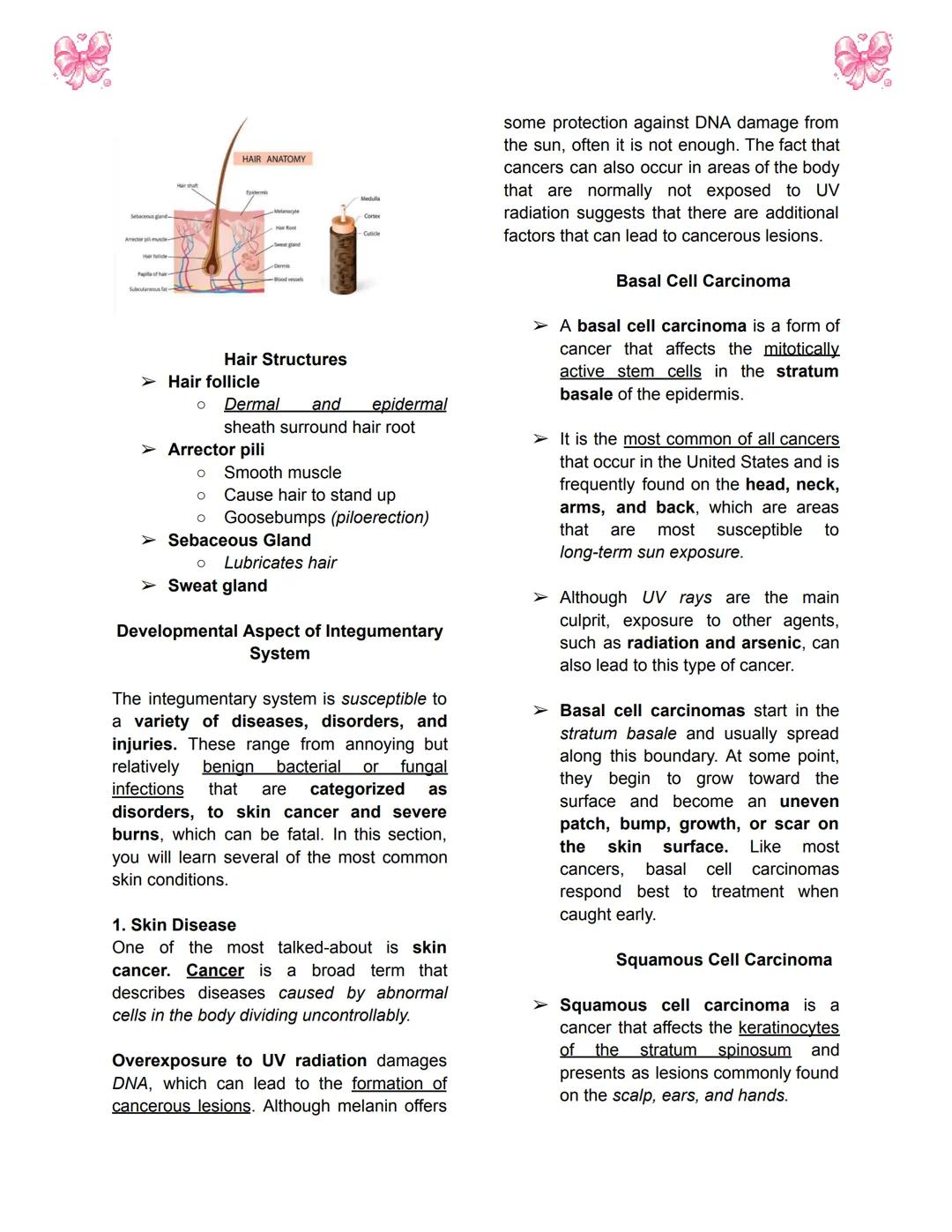 # BODY TISSUES
## Hierarchy of Structural Organization
> Each of these build upon one another to make up the next level:
> - Chemical lev